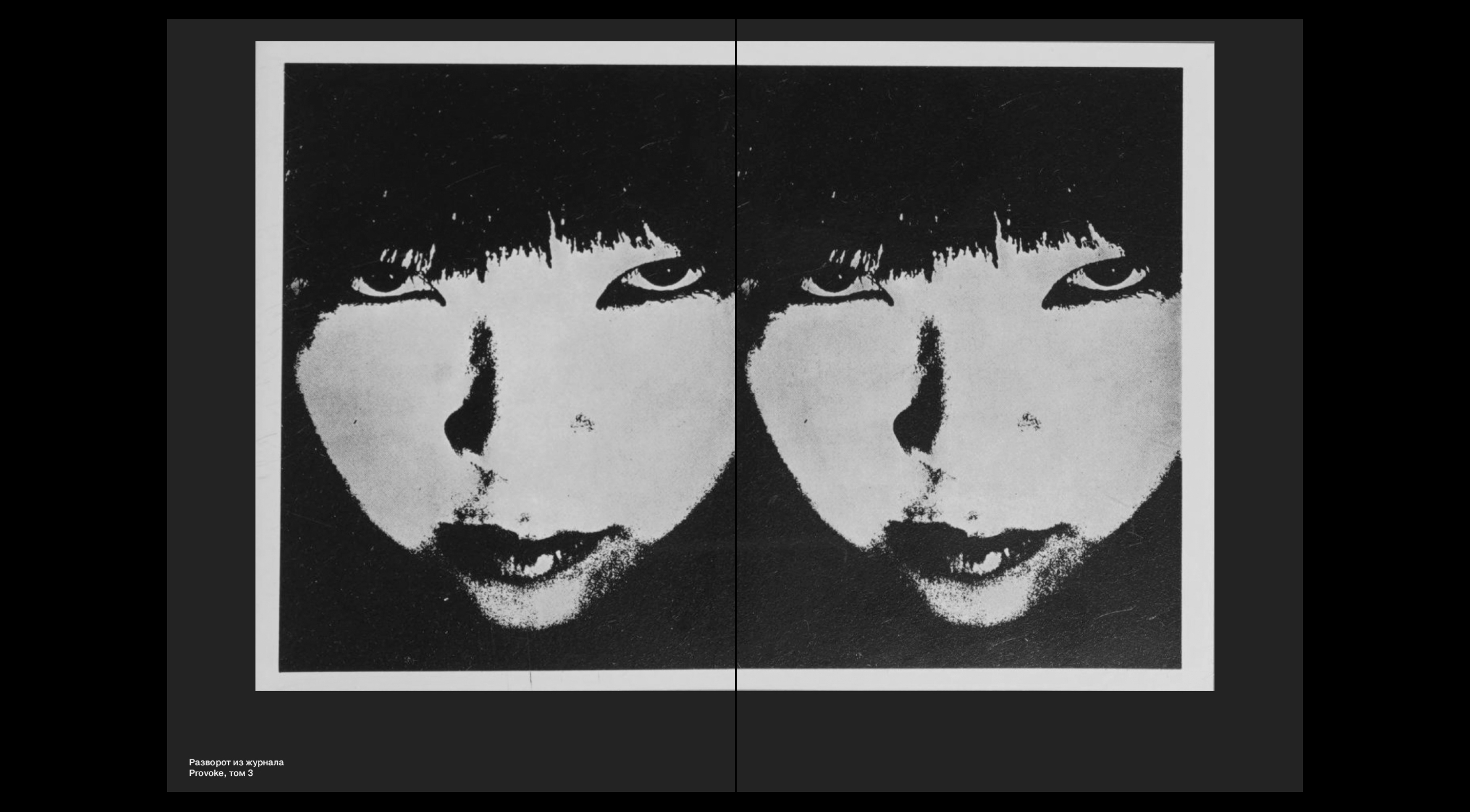 Каталог выставки «Призрак протеста» — Изображение №4 — Графика на Dprofile