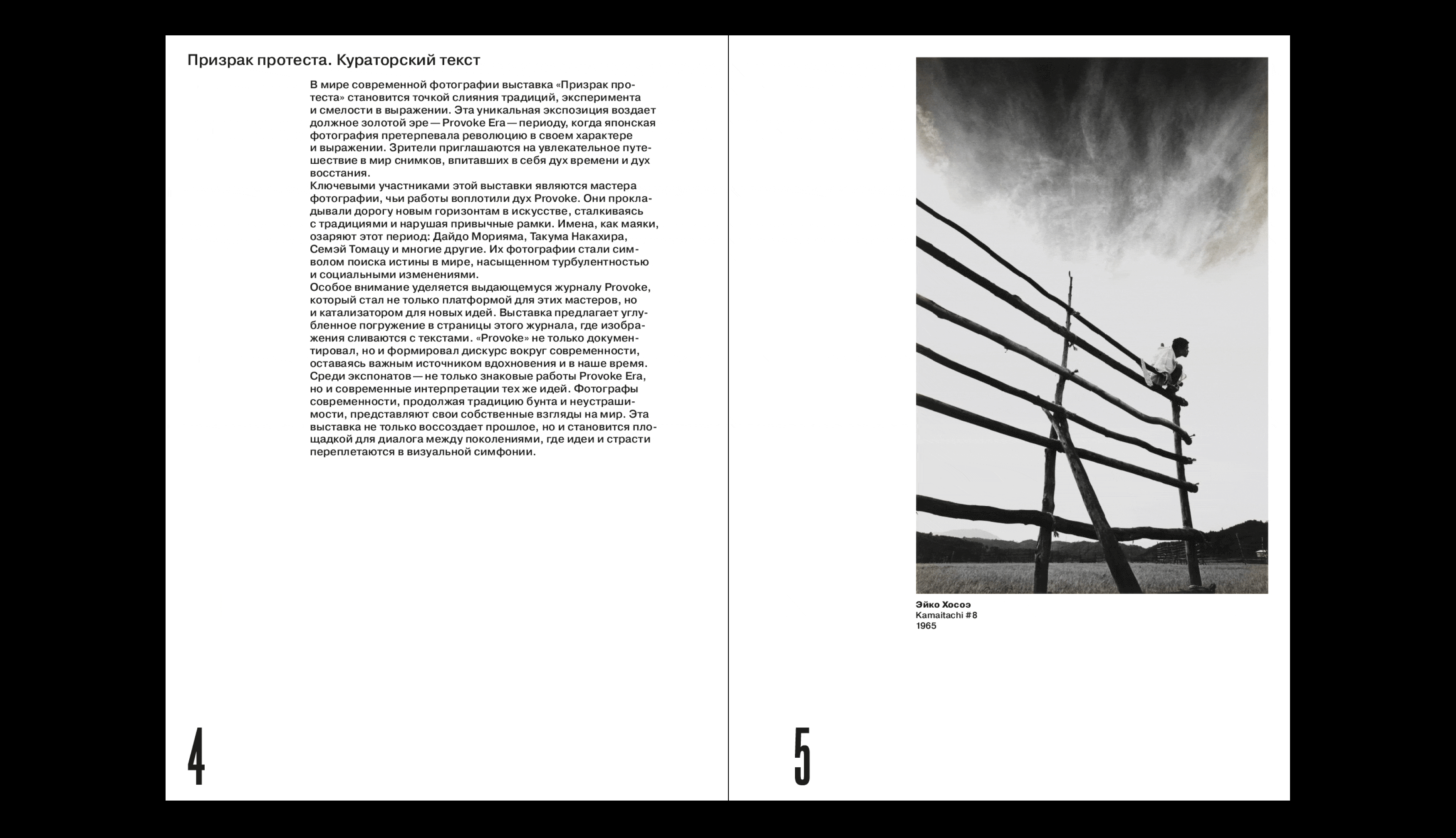 Каталог выставки «Призрак протеста» — Изображение №2 — Графика на Dprofile