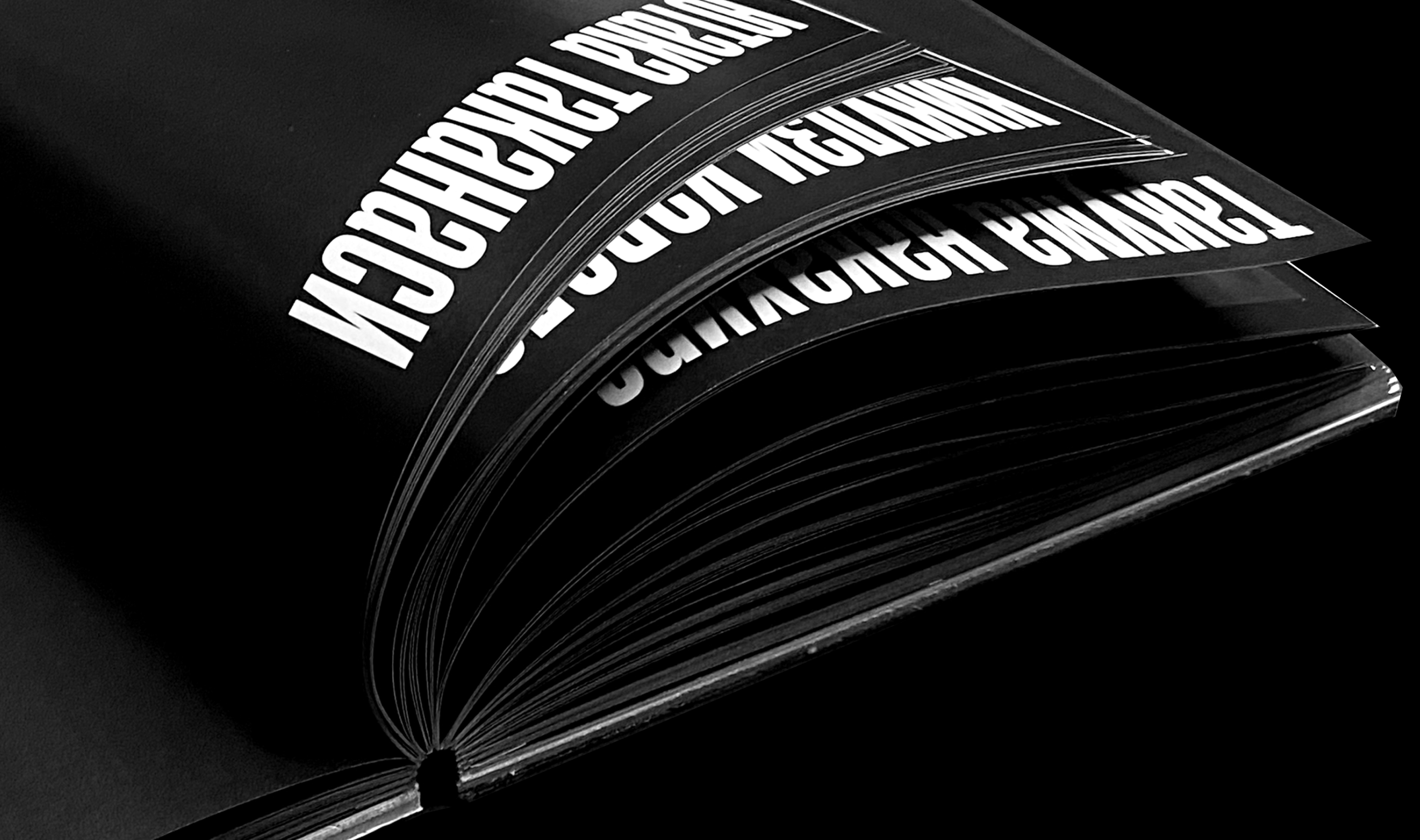 Каталог выставки «Призрак протеста» — Изображение №5 — Графика на Dprofile