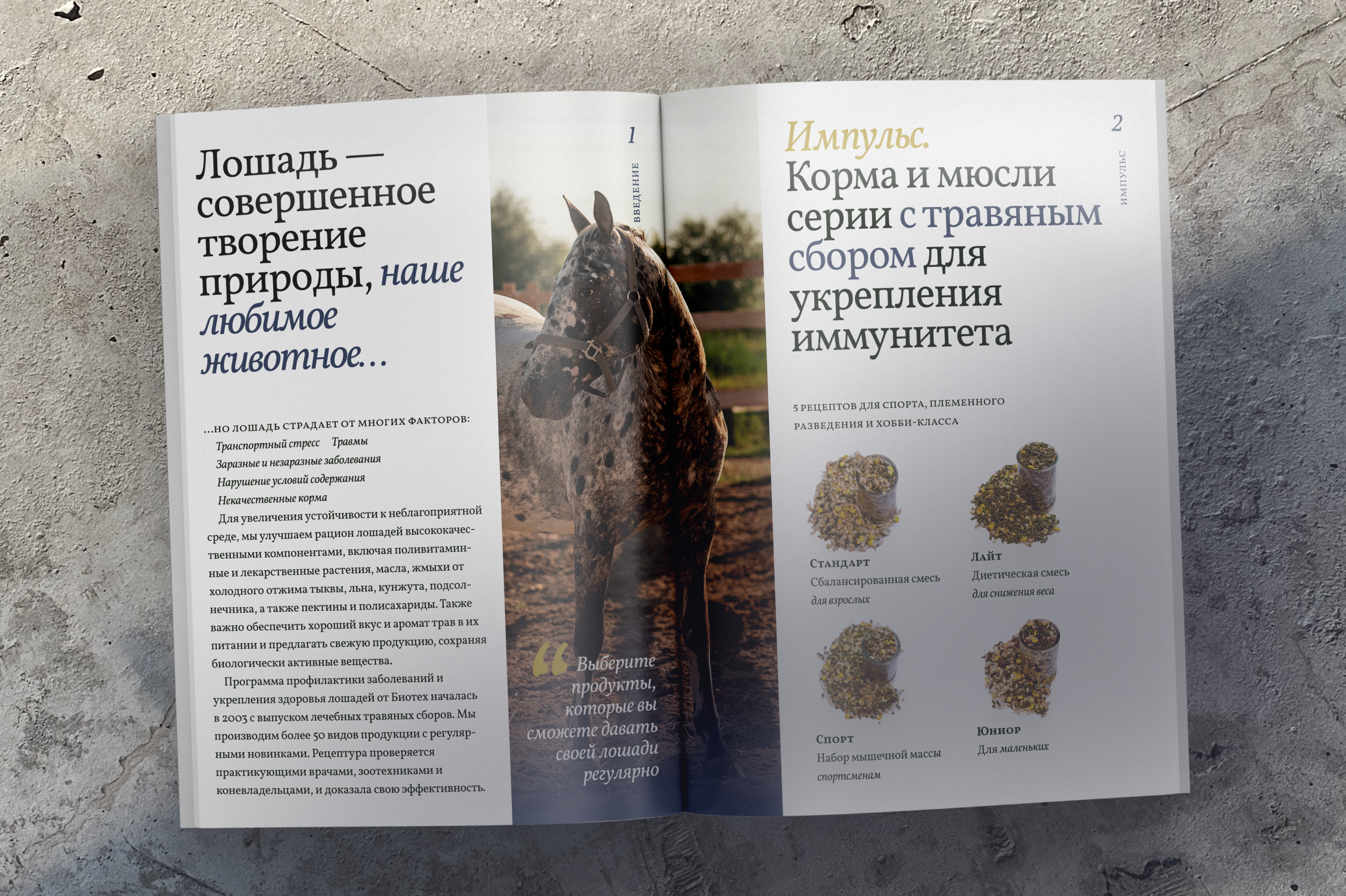 Биотех — производитель премиального корма для лошадей — Изображение №4 — Интерфейсы, Брендинг на Dprofile