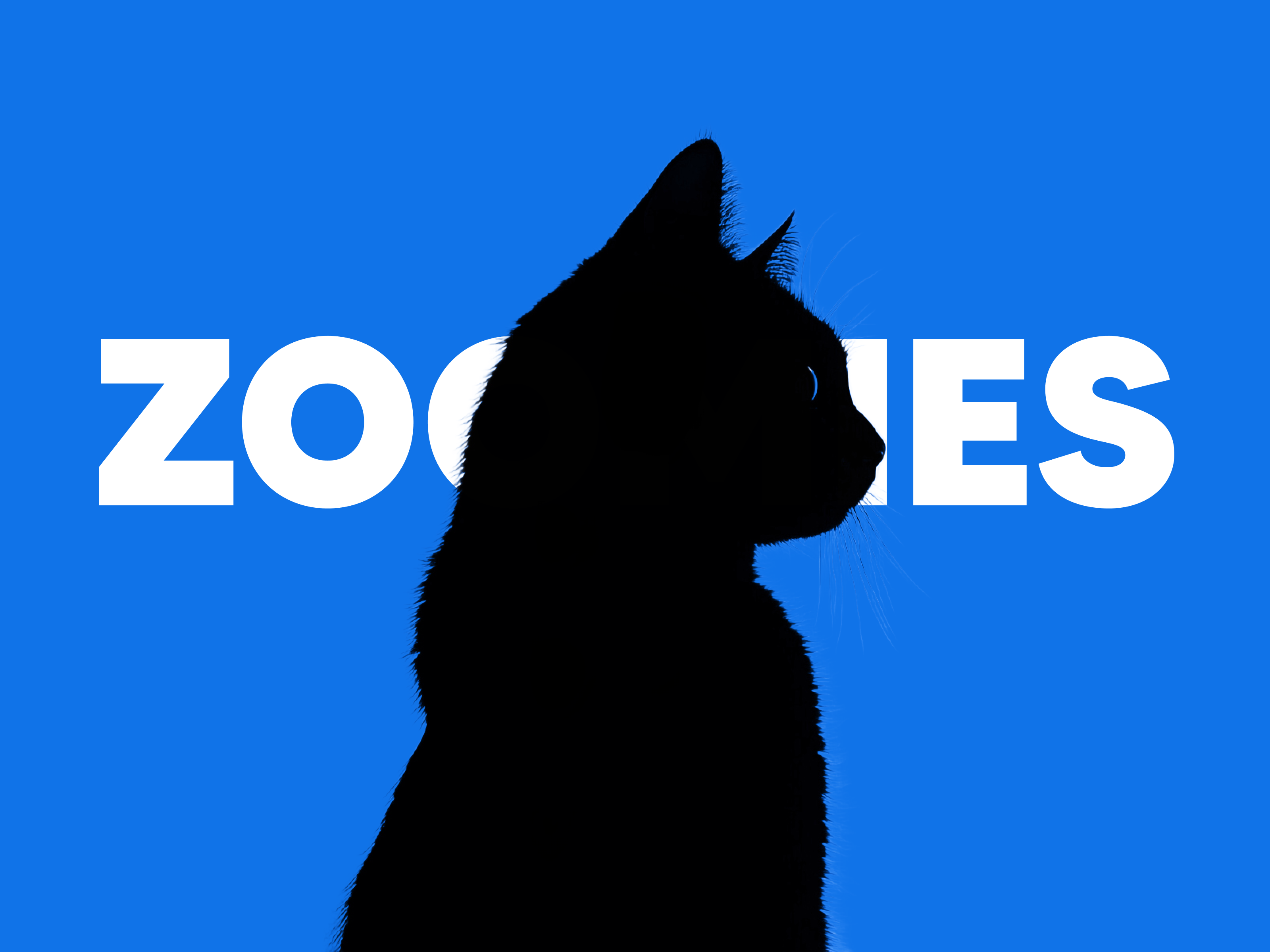 Брендинг Zoomies: зоотовары — Изображение №1 — Брендинг на Dprofile