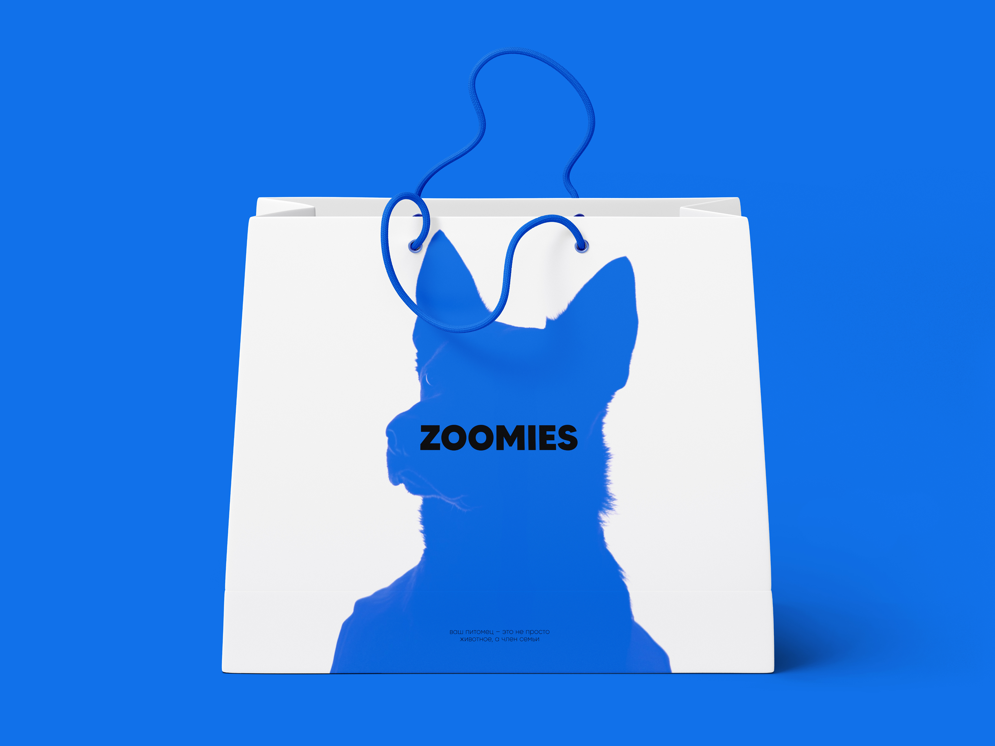 Брендинг Zoomies: зоотовары — Изображение №3 — Брендинг на Dprofile