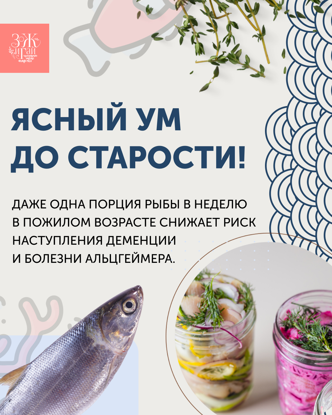 Карточки для ТГ — Изображение №5 — Маркетинг на Dprofile
