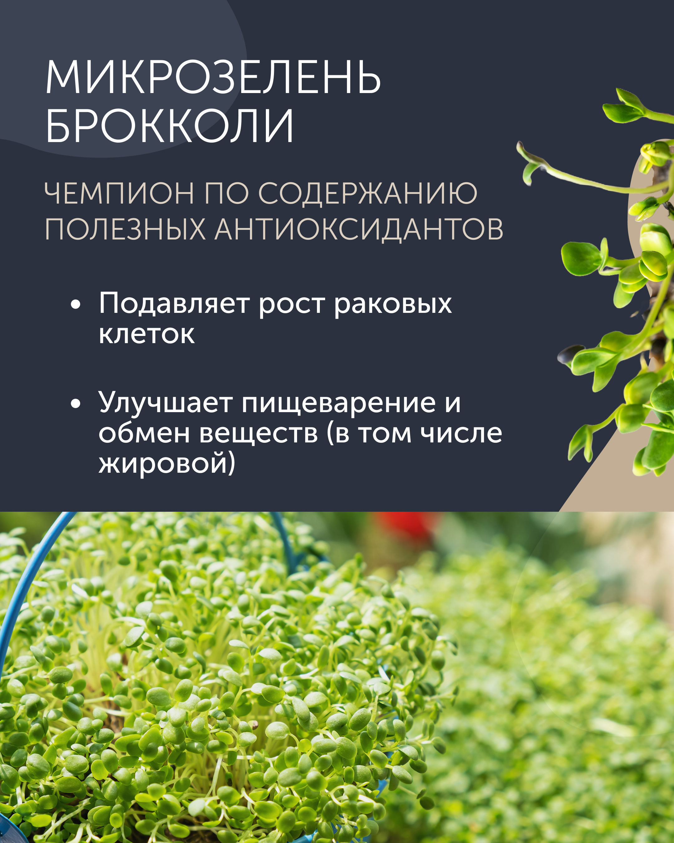 Карточки для ТГ — Изображение №4 — Маркетинг на Dprofile