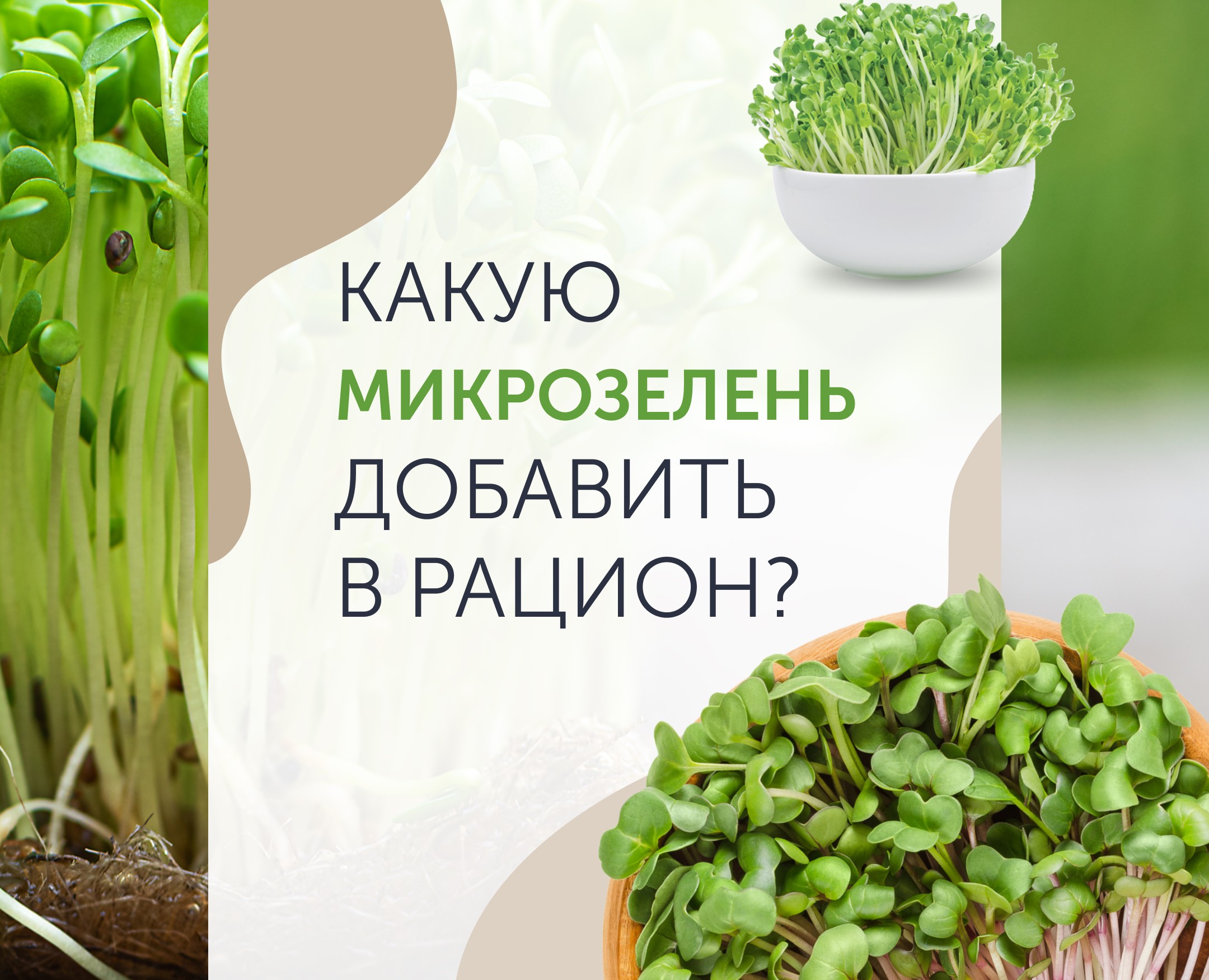 Карточки для ТГ — Маркетинг на Dprofile