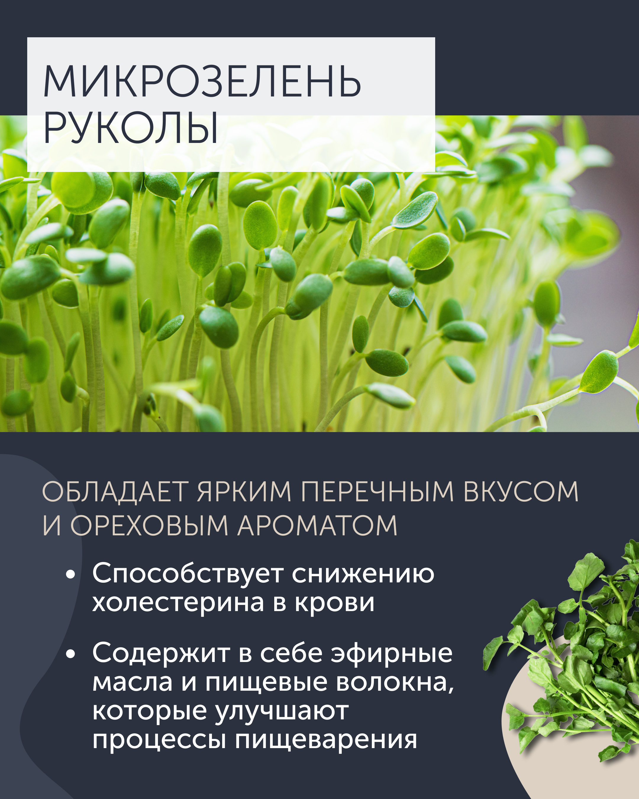 Карточки для ТГ — Изображение №2 — Маркетинг на Dprofile