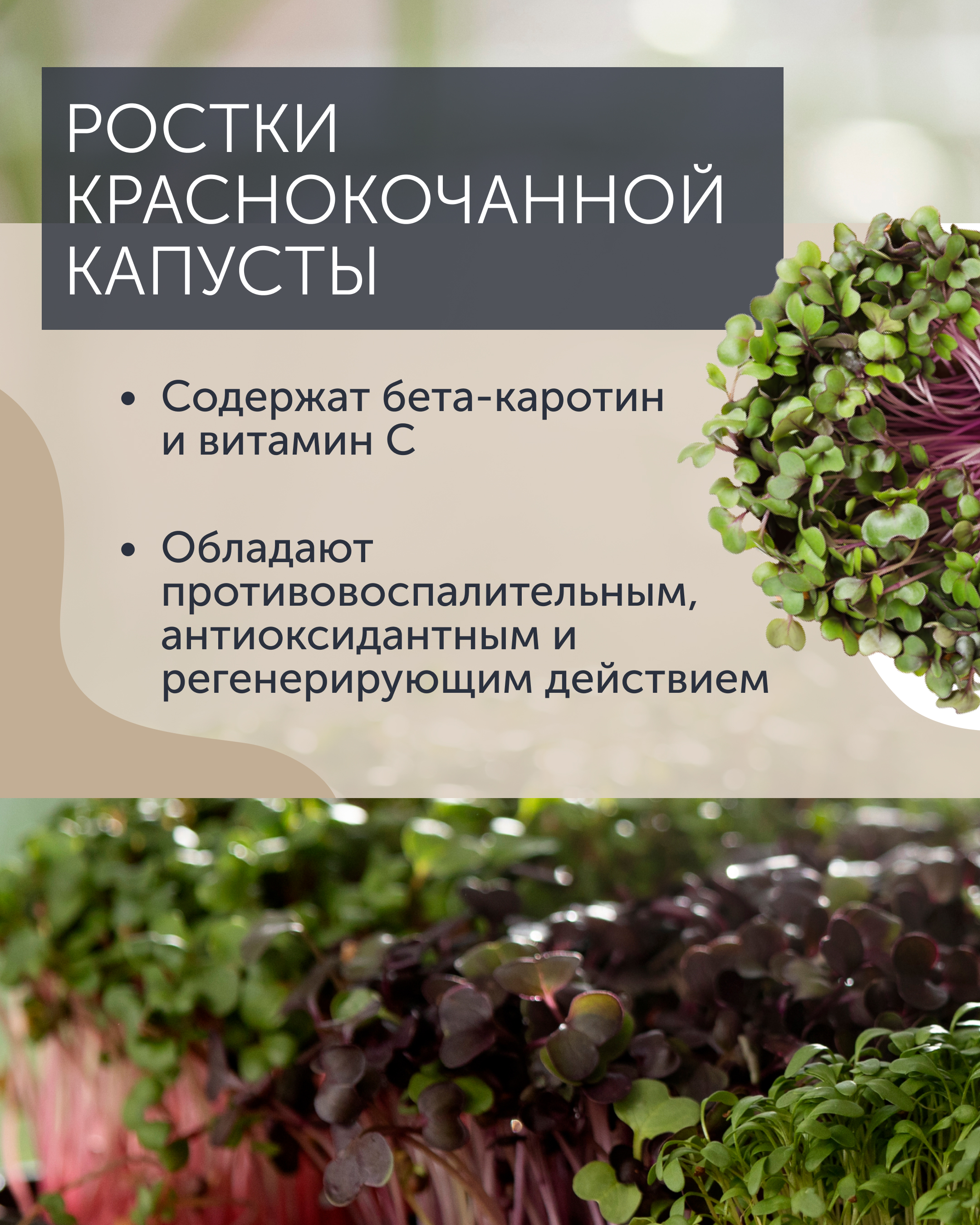 Карточки для ТГ — Изображение №5 — Маркетинг на Dprofile