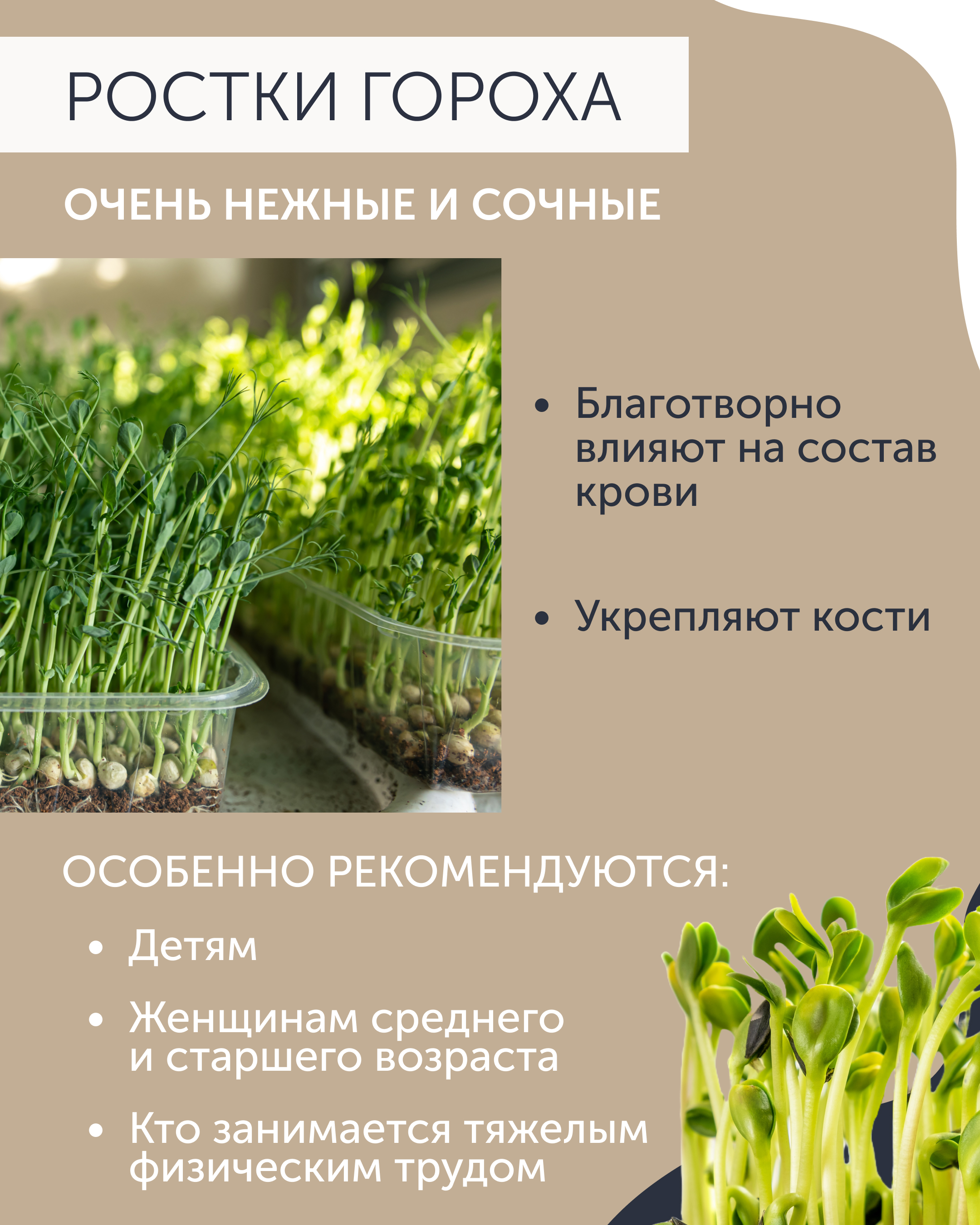 Карточки для ТГ — Изображение №3 — Маркетинг на Dprofile