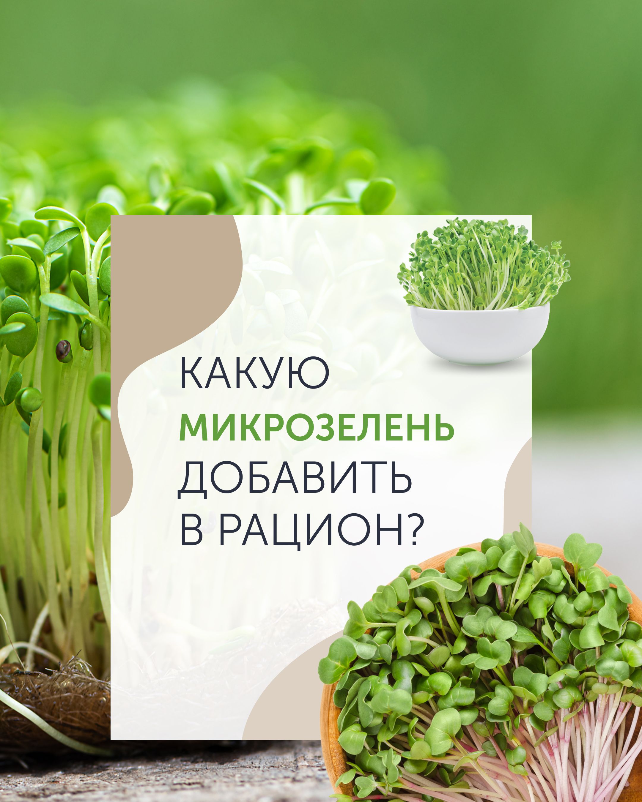 Карточки для ТГ — Изображение №1 — Маркетинг на Dprofile