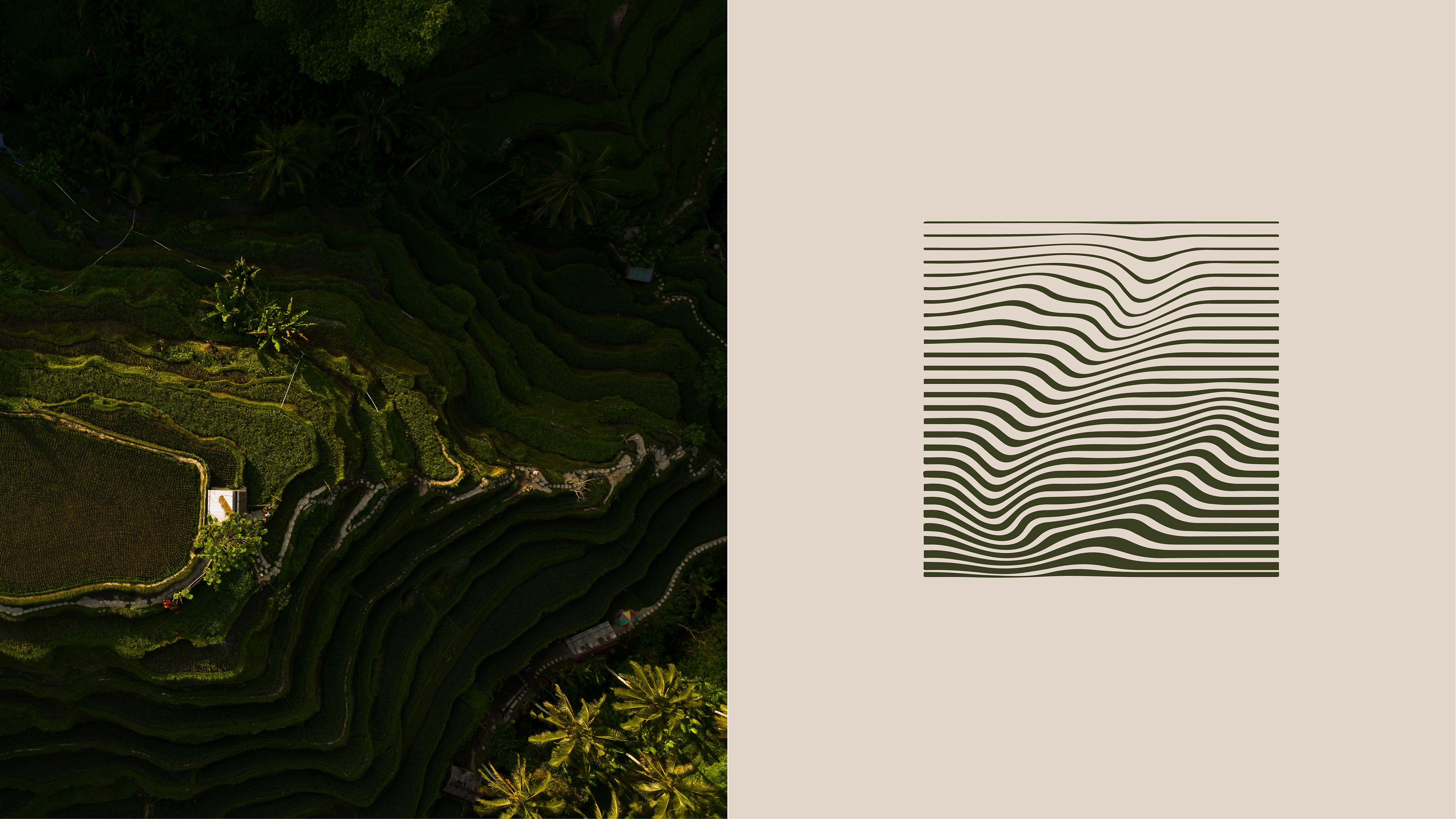 Identity for asian restaurant "Lao" — Изображение №3 — Брендинг на Dprofile