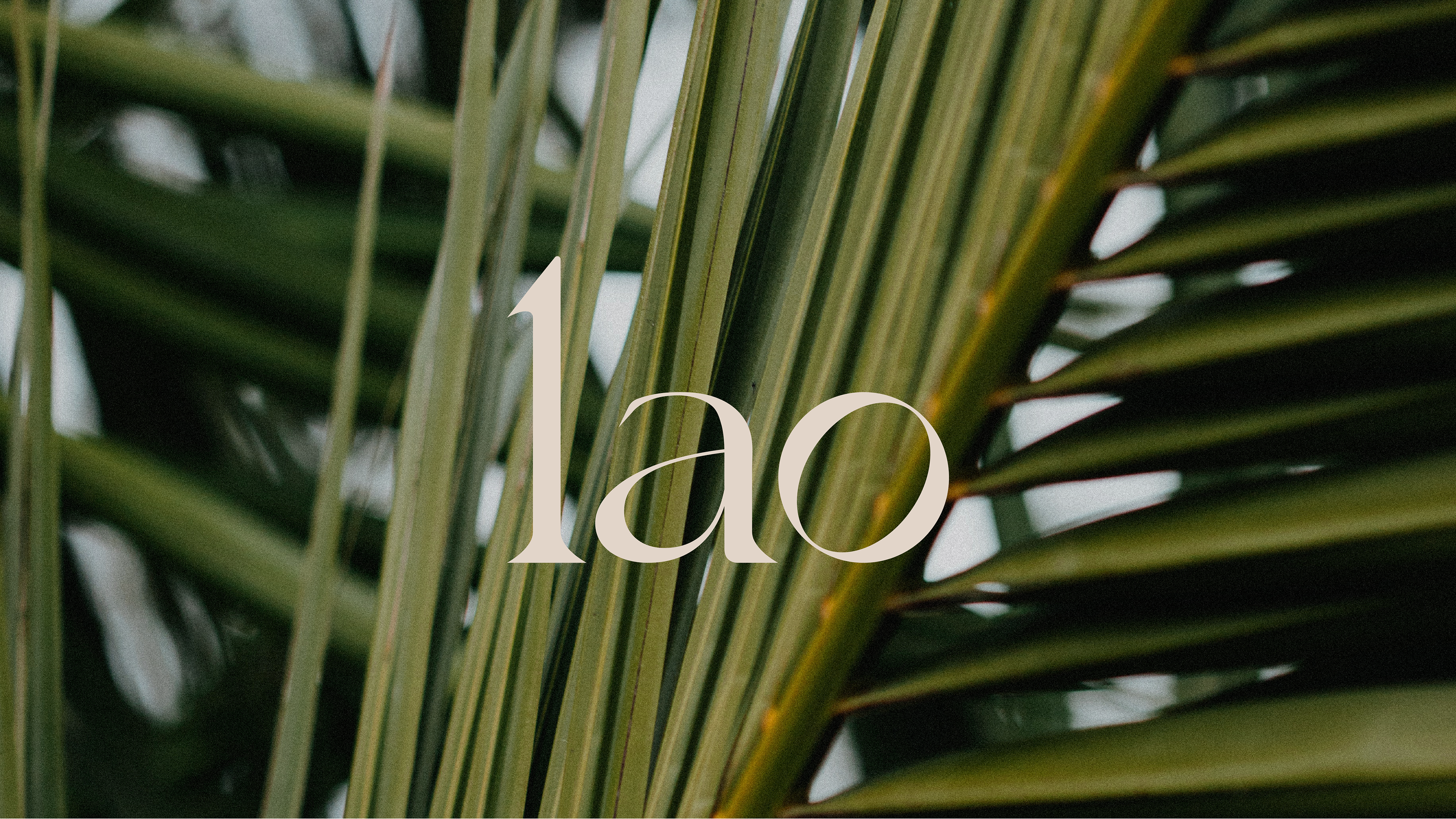 Identity for asian restaurant "Lao" — Изображение №1 — Брендинг на Dprofile