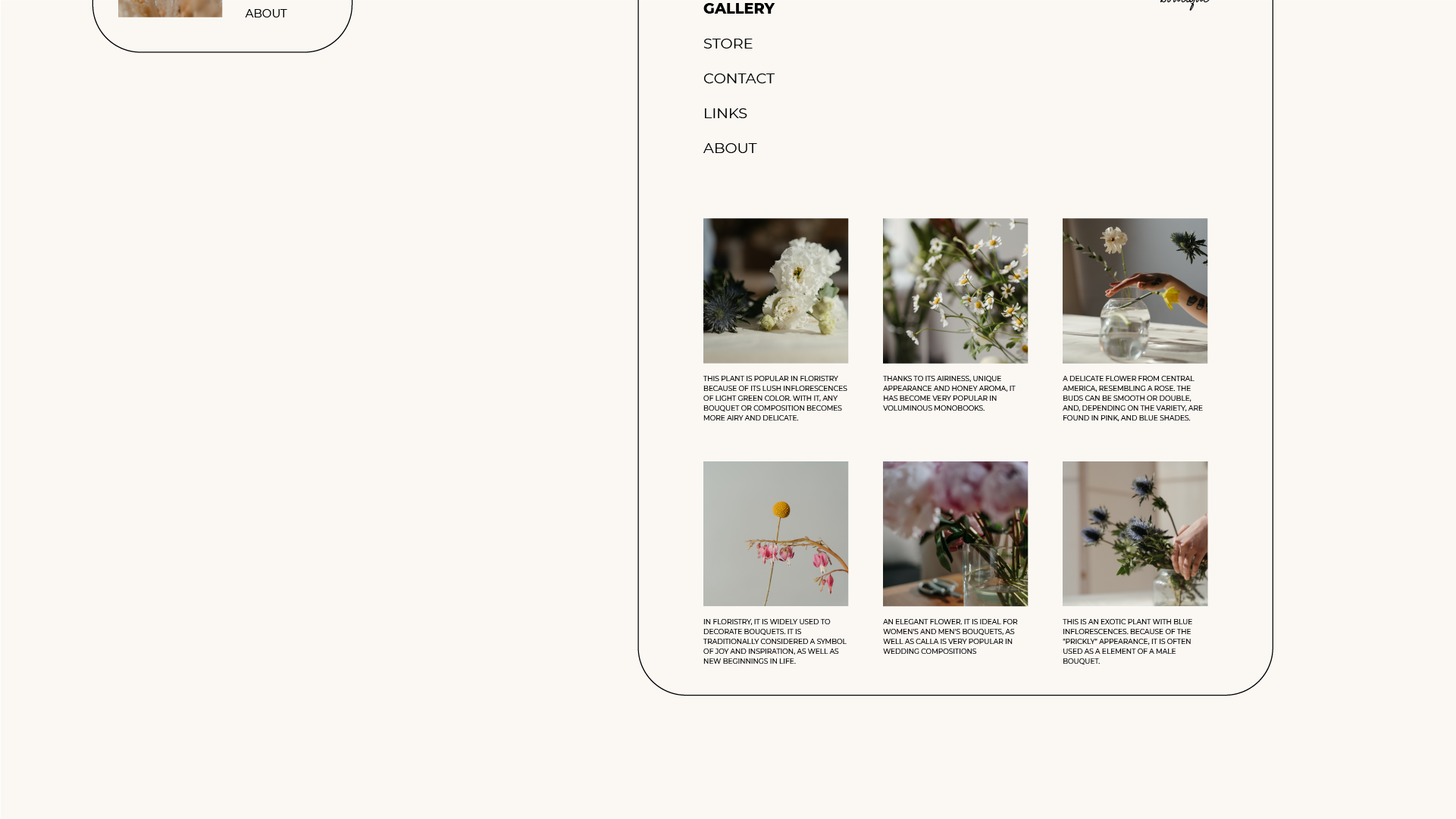 Logotype / Flower boutique / Stamen — Изображение №11 — Брендинг на Dprofile