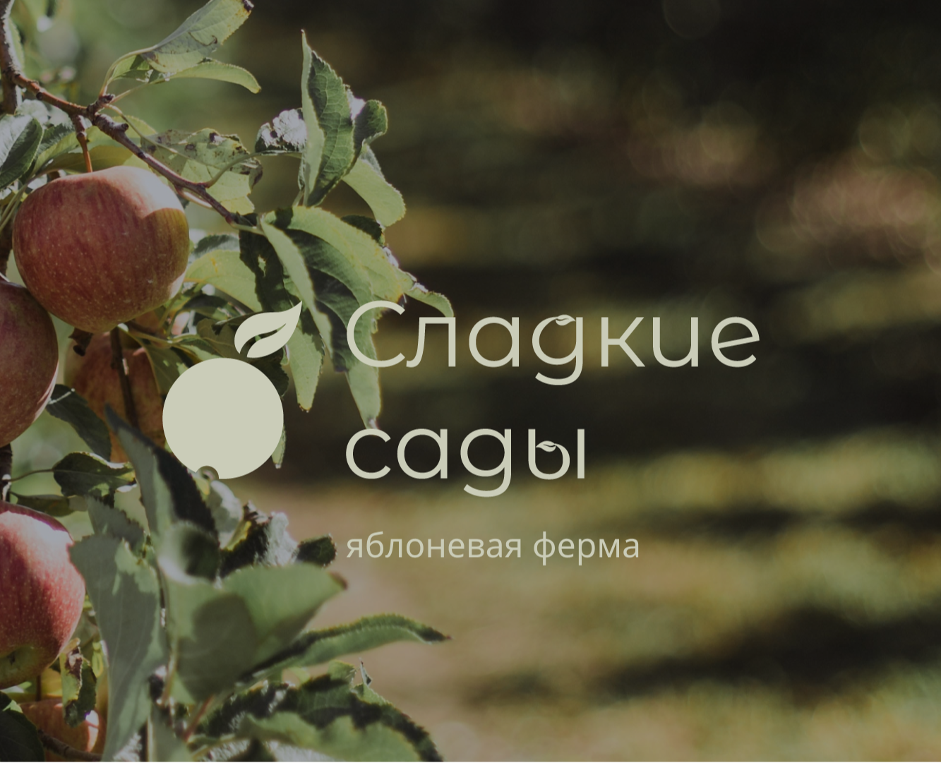 Логотип | Сладкие сады — Брендинг на Dprofile