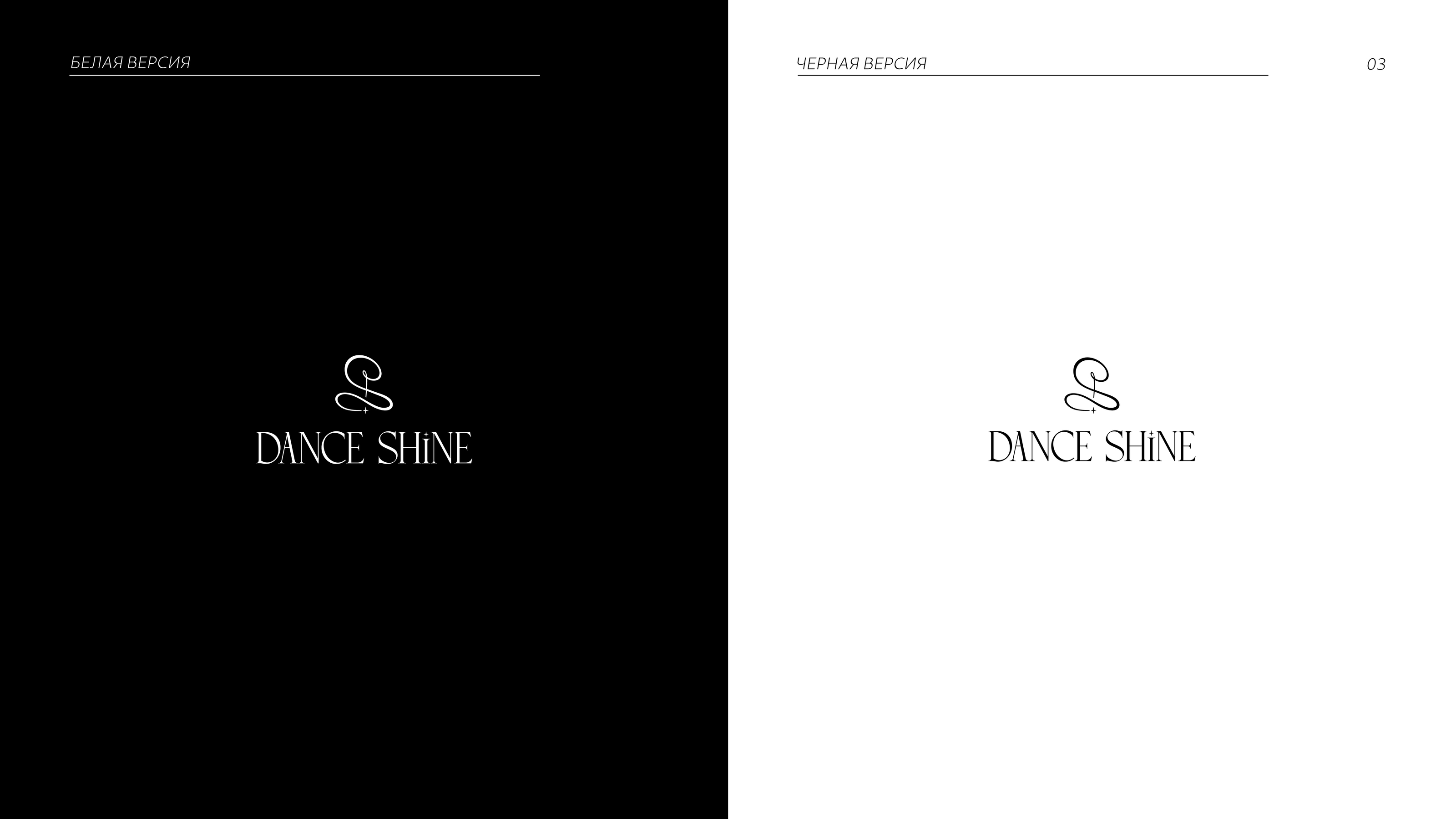 DANCE SHINE | DANCE CLOTHING ATELIER — Изображение №4 — Брендинг на Dprofile