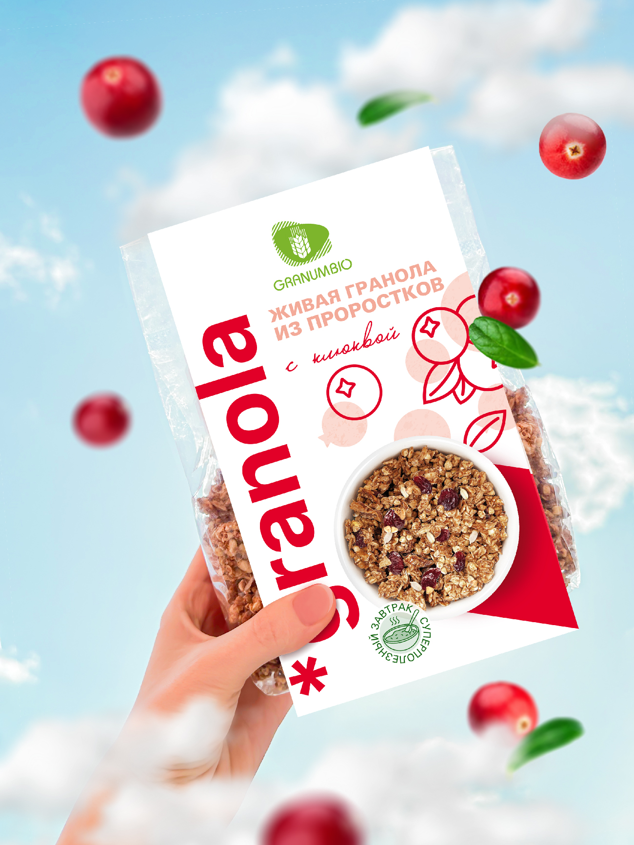 Разработка концепции шуберов для гранолы "Granola" — Изображение №4 — Брендинг, Иллюстрация на Dprofile