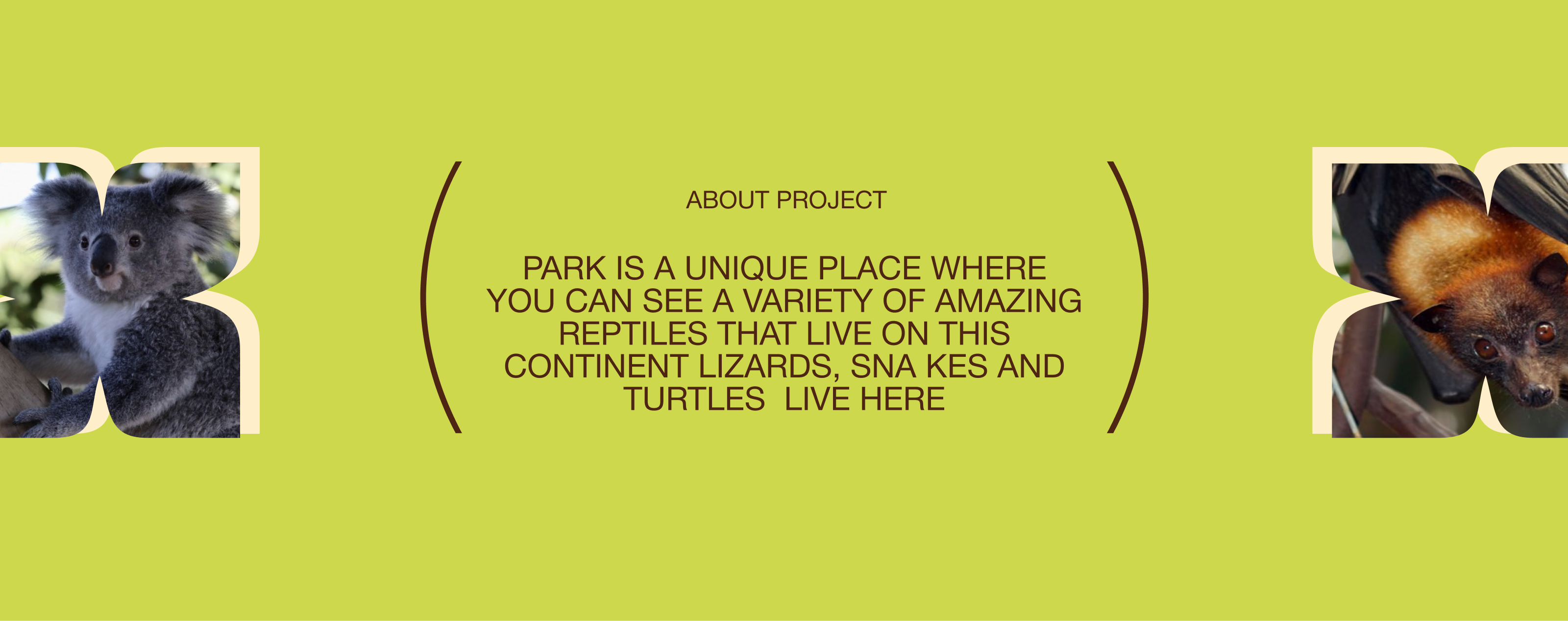 REPTILE PARK | CORPORATE WEBSITE — Изображение №2 — Интерфейсы на Dprofile