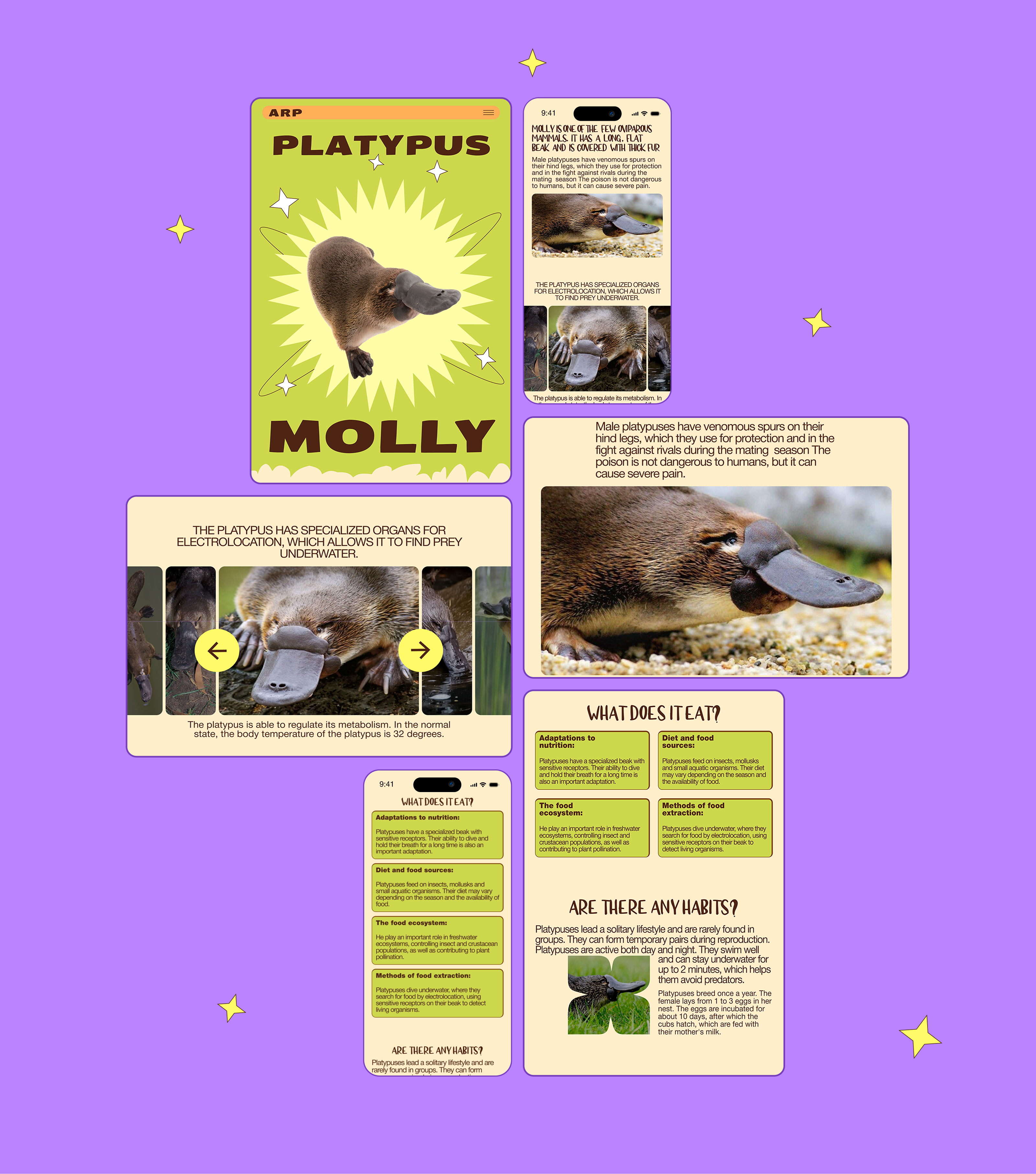 REPTILE PARK | CORPORATE WEBSITE — Изображение №7 — Интерфейсы на Dprofile