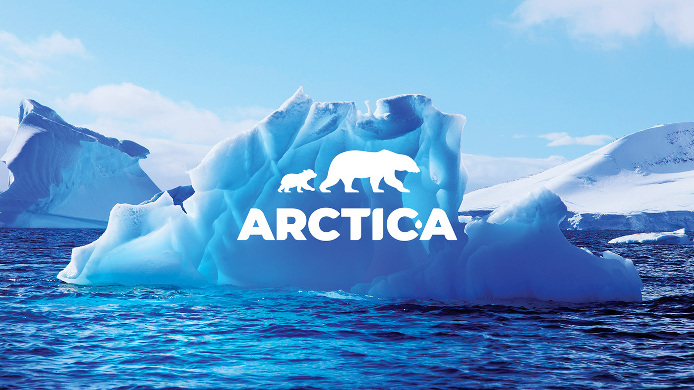 ARCTIC-A дизайн упаковки линейки моющих средств — Изображение №1 — Брендинг на Dprofile