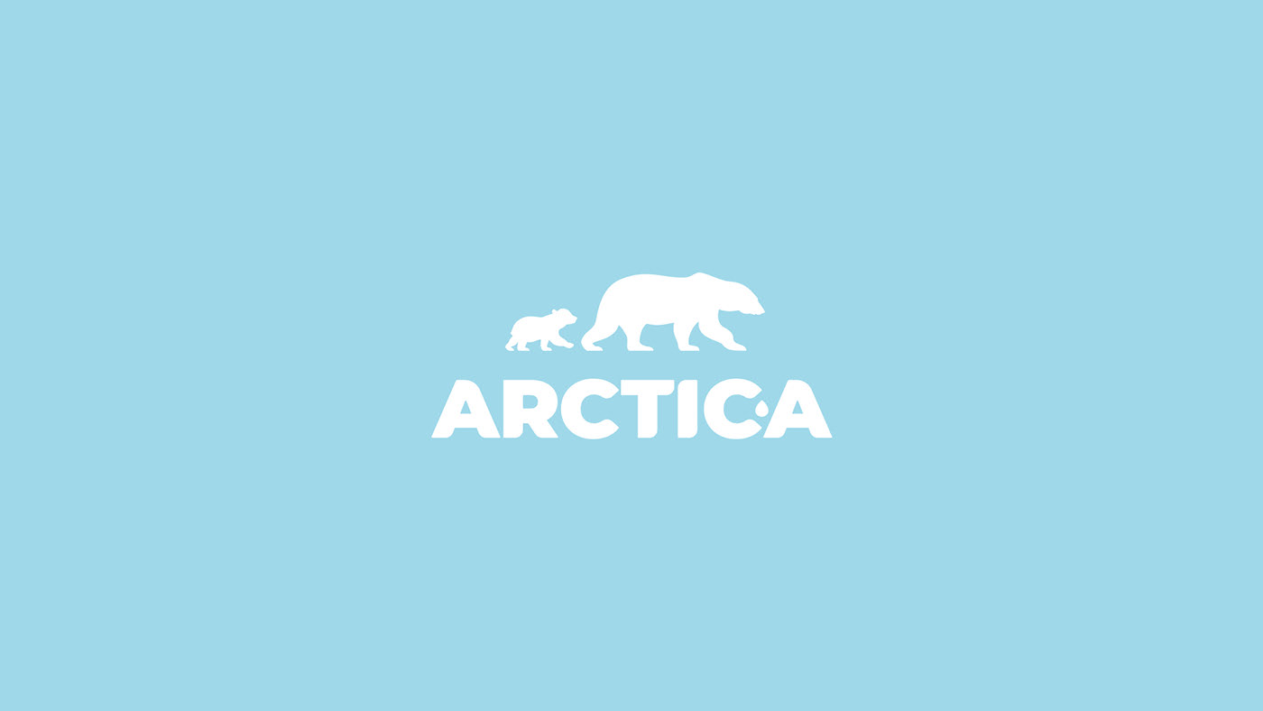 ARCTIC-A дизайн упаковки линейки моющих средств — Изображение №3 — Брендинг на Dprofile