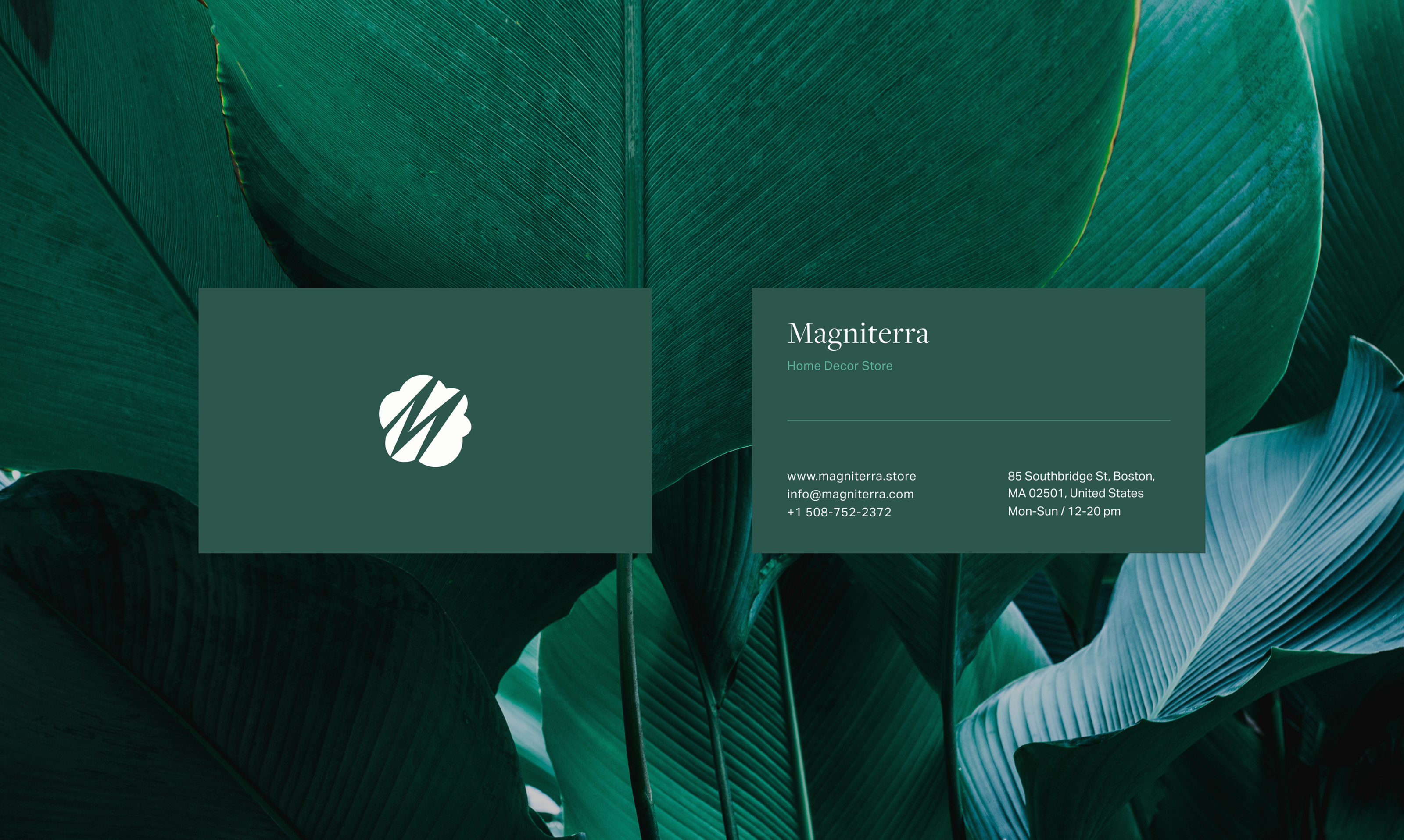 Magniterra - Terrarium Store — Изображение №4 — Интерфейсы, Брендинг на Dprofile