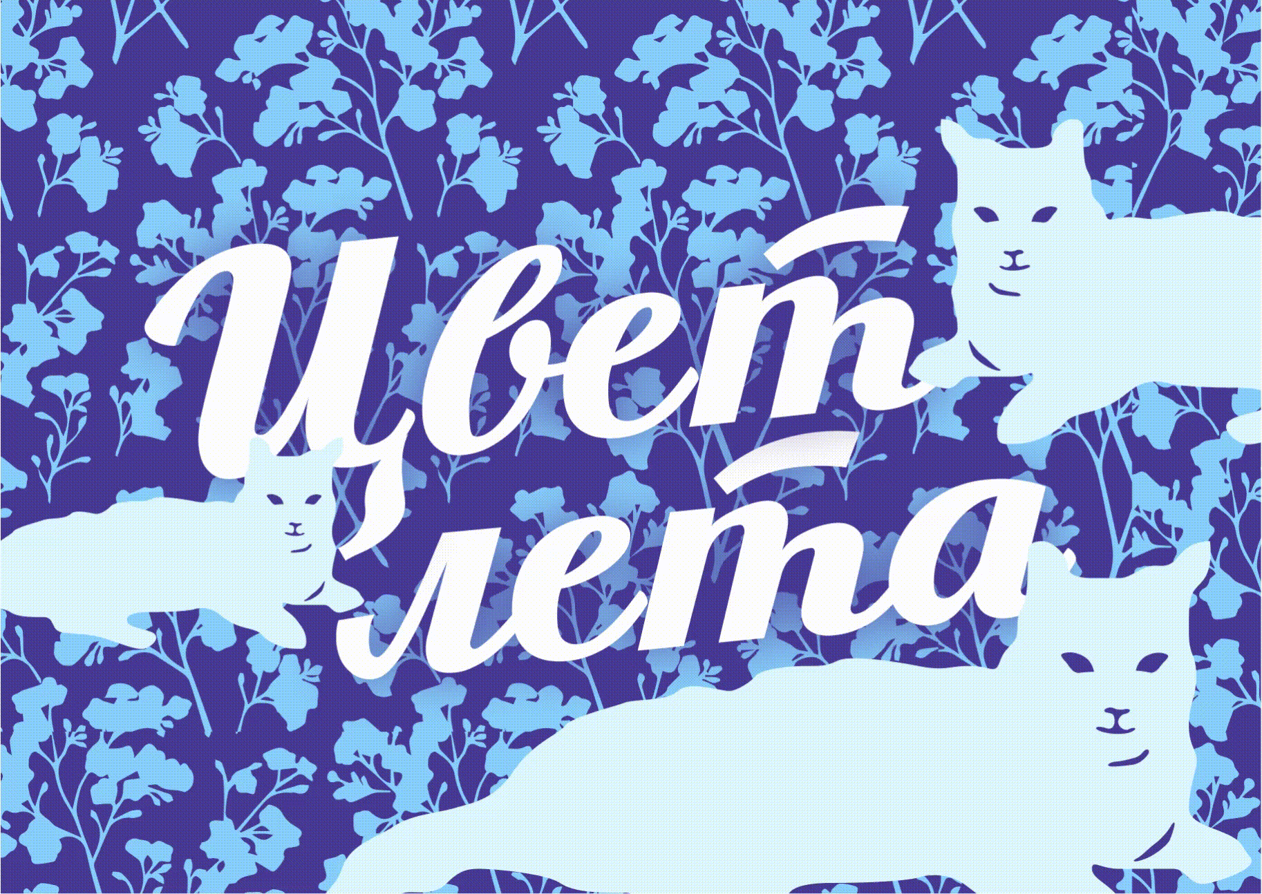 Айдентика для семян цветов «Цвет лета»‎ — Изображение №1 — Брендинг на Dprofile