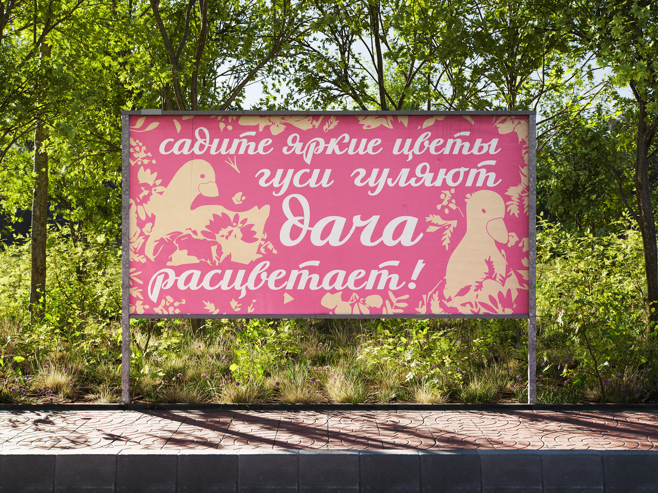 Айдентика для семян цветов «Цвет лета»‎ — Изображение №14 — Брендинг на Dprofile