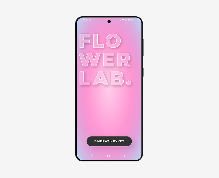 Разработка приложения для цветочной мастерской FLOWER LAB — Интерфейсы, Анимация на Dprofile