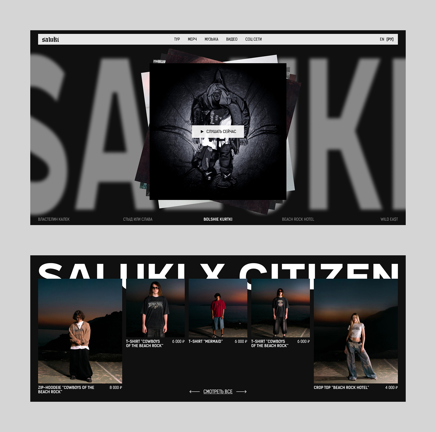 Saluki Website Redesign — Изображение №3 — Интерфейсы, Брендинг на Dprofile