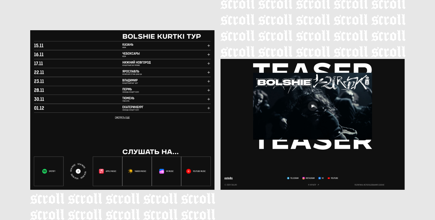 Saluki Website Redesign — Изображение №5 — Интерфейсы, Брендинг на Dprofile