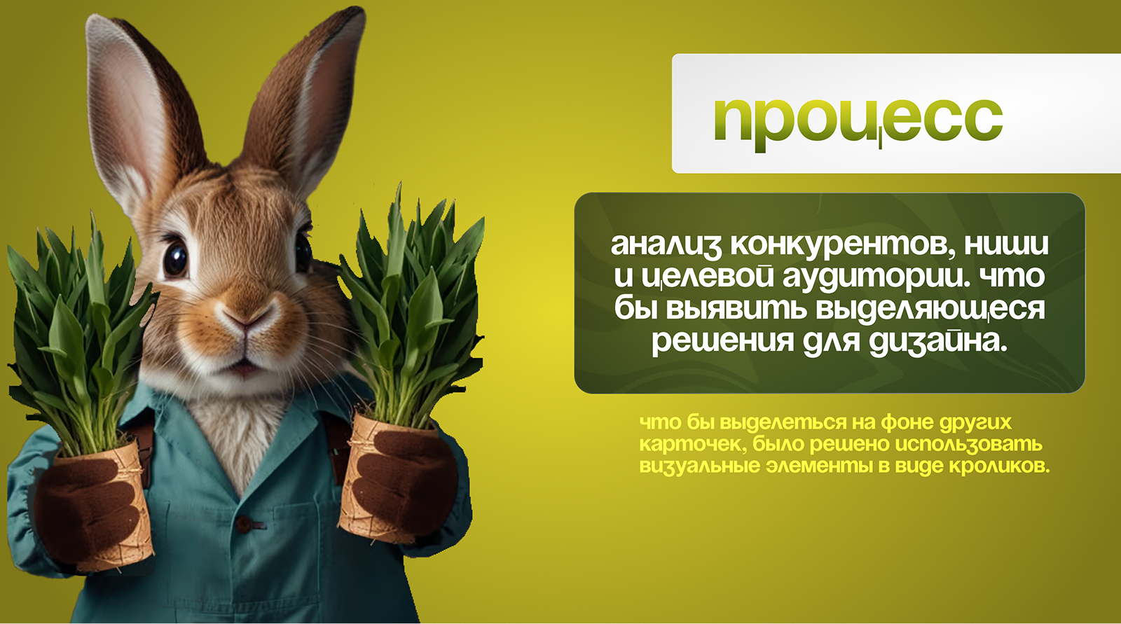 Инфографика, торфяные горшки для рассады, wildberries — Изображение №3 — Графика, Маркетинг на Dprofile