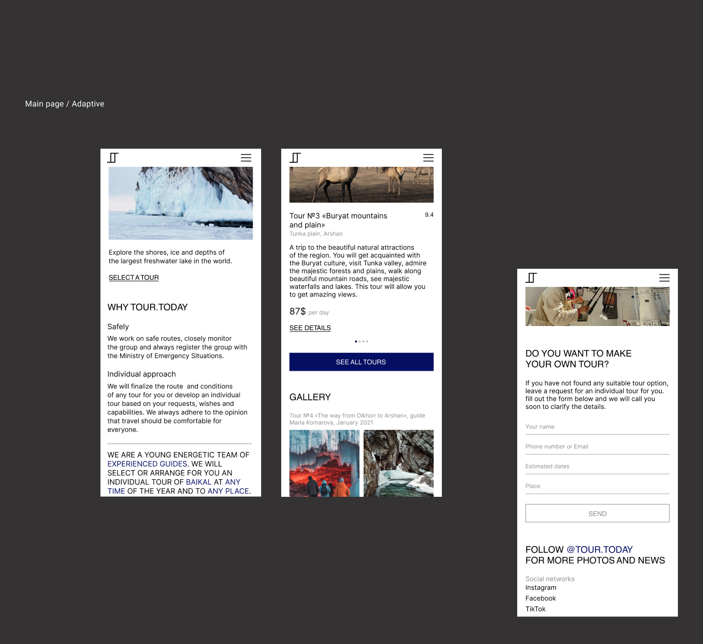 Website for a travel agency. Baikal tours — Изображение №8 — Интерфейсы на Dprofile