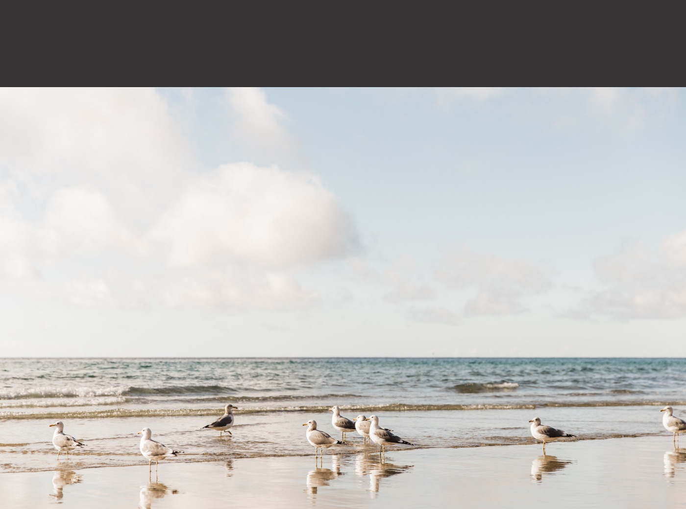 Website for a travel agency. Baikal tours — Изображение №17 — Интерфейсы на Dprofile