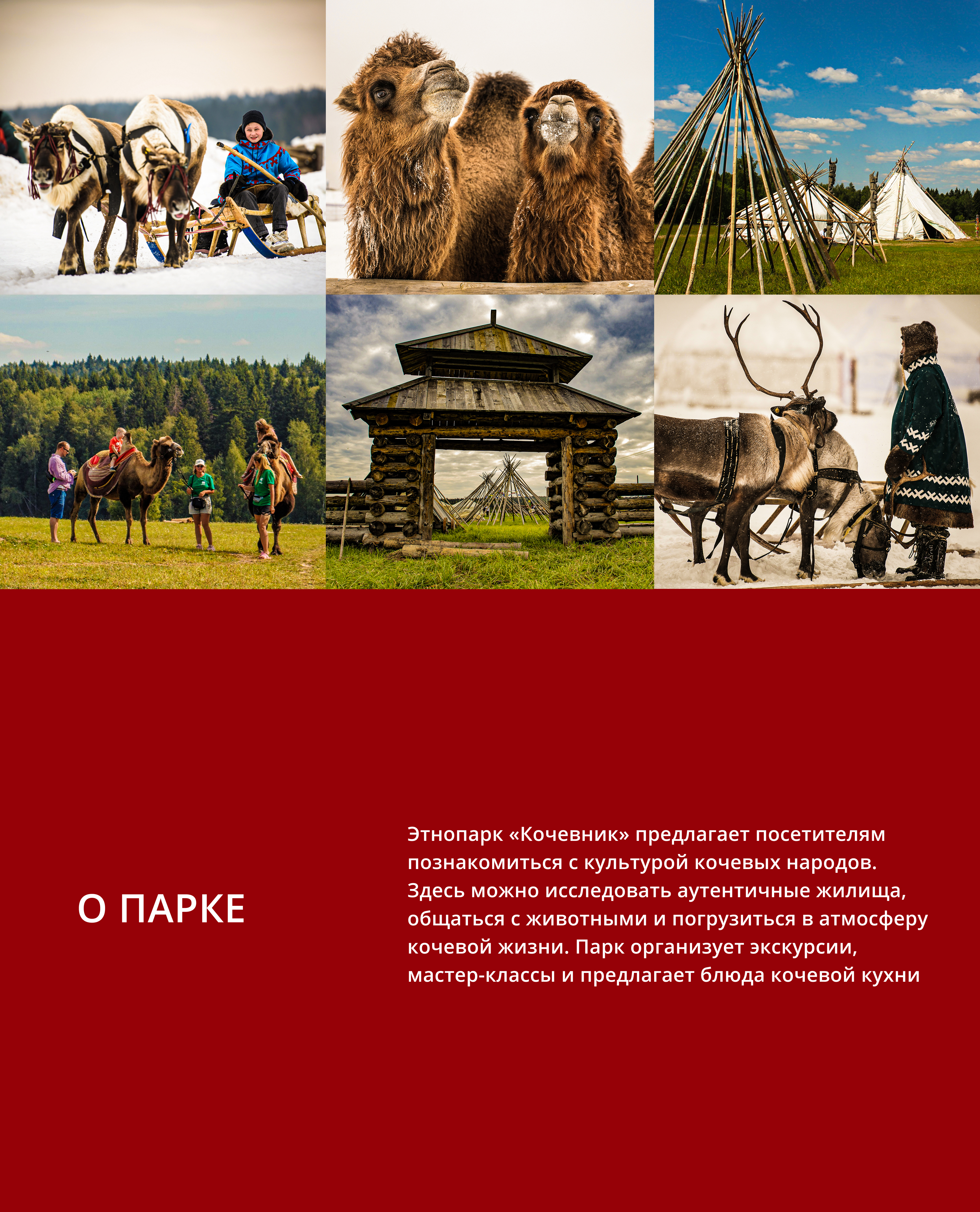 Графический комплекс для этнопарка «Кочевник» — Изображение №1 — Брендинг, Графика на Dprofile