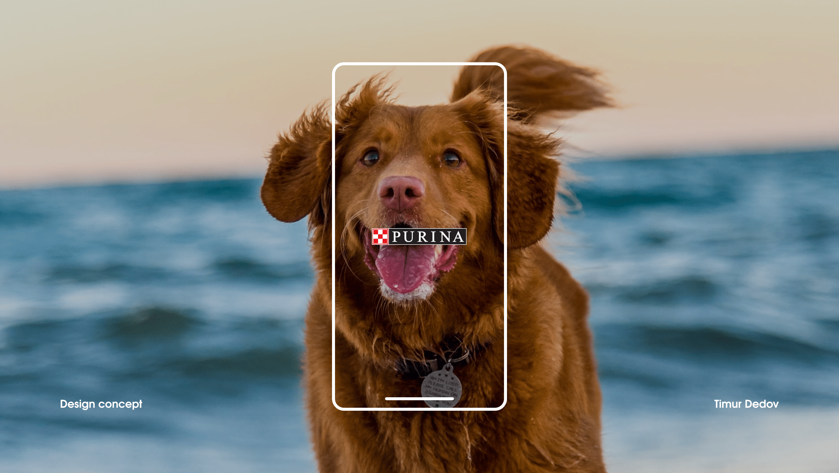 Purina||Redesign concept — Изображение №1 — Интерфейсы, Брендинг, Графика на Dprofile