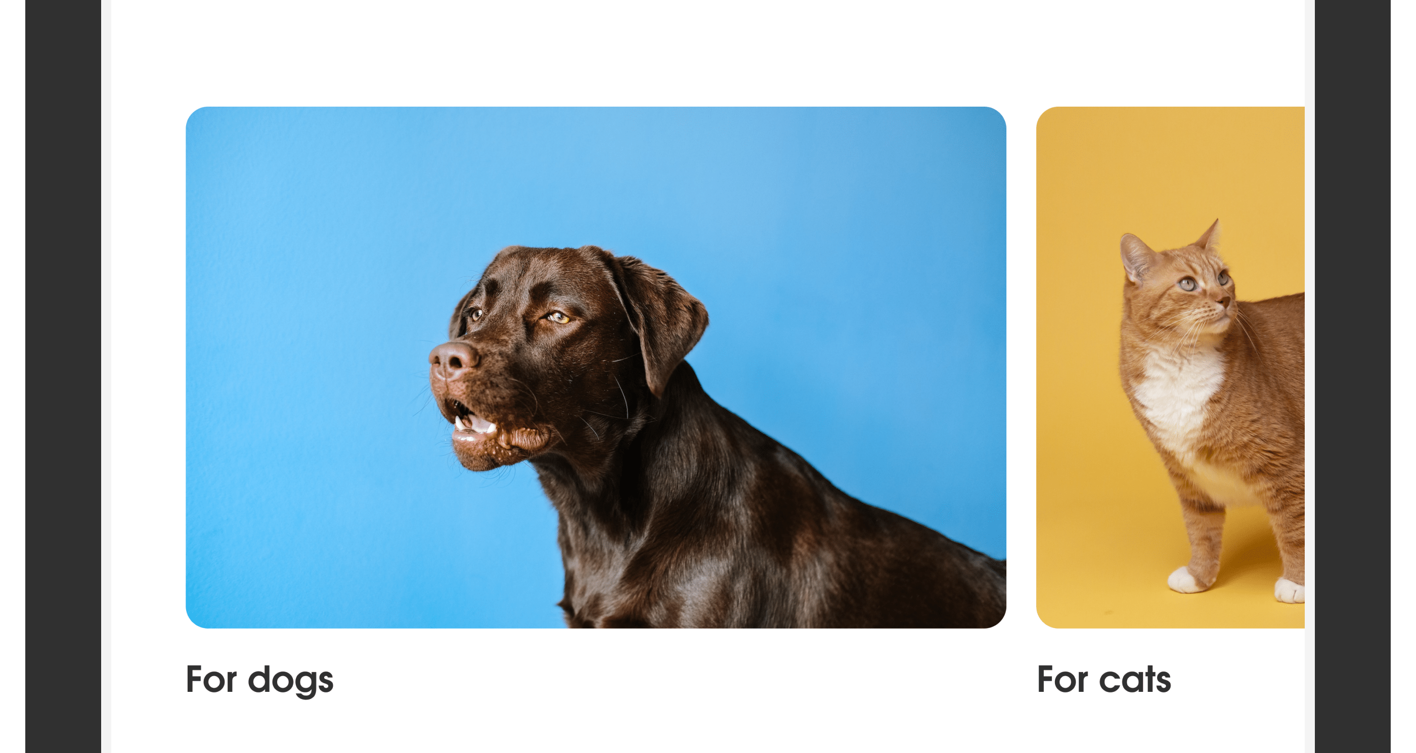 Purina||Redesign concept — Изображение №6 — Интерфейсы, Брендинг, Графика на Dprofile