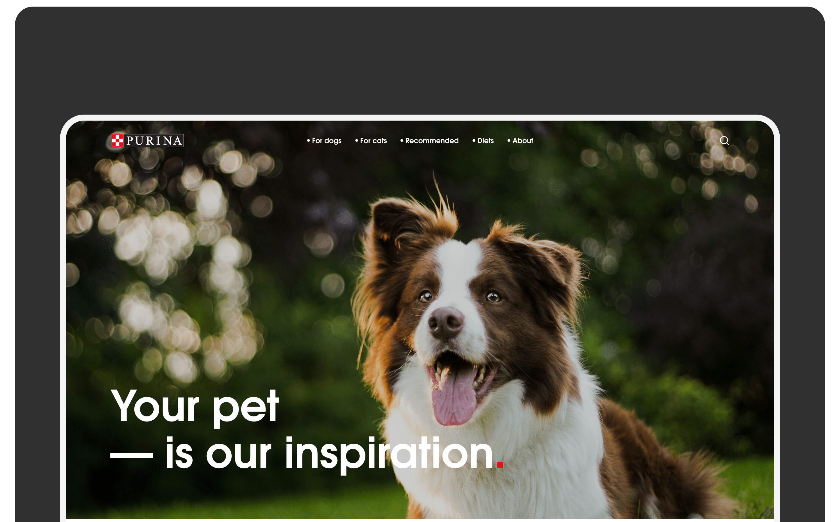 Purina||Redesign concept — Изображение №5 — Интерфейсы, Брендинг, Графика на Dprofile