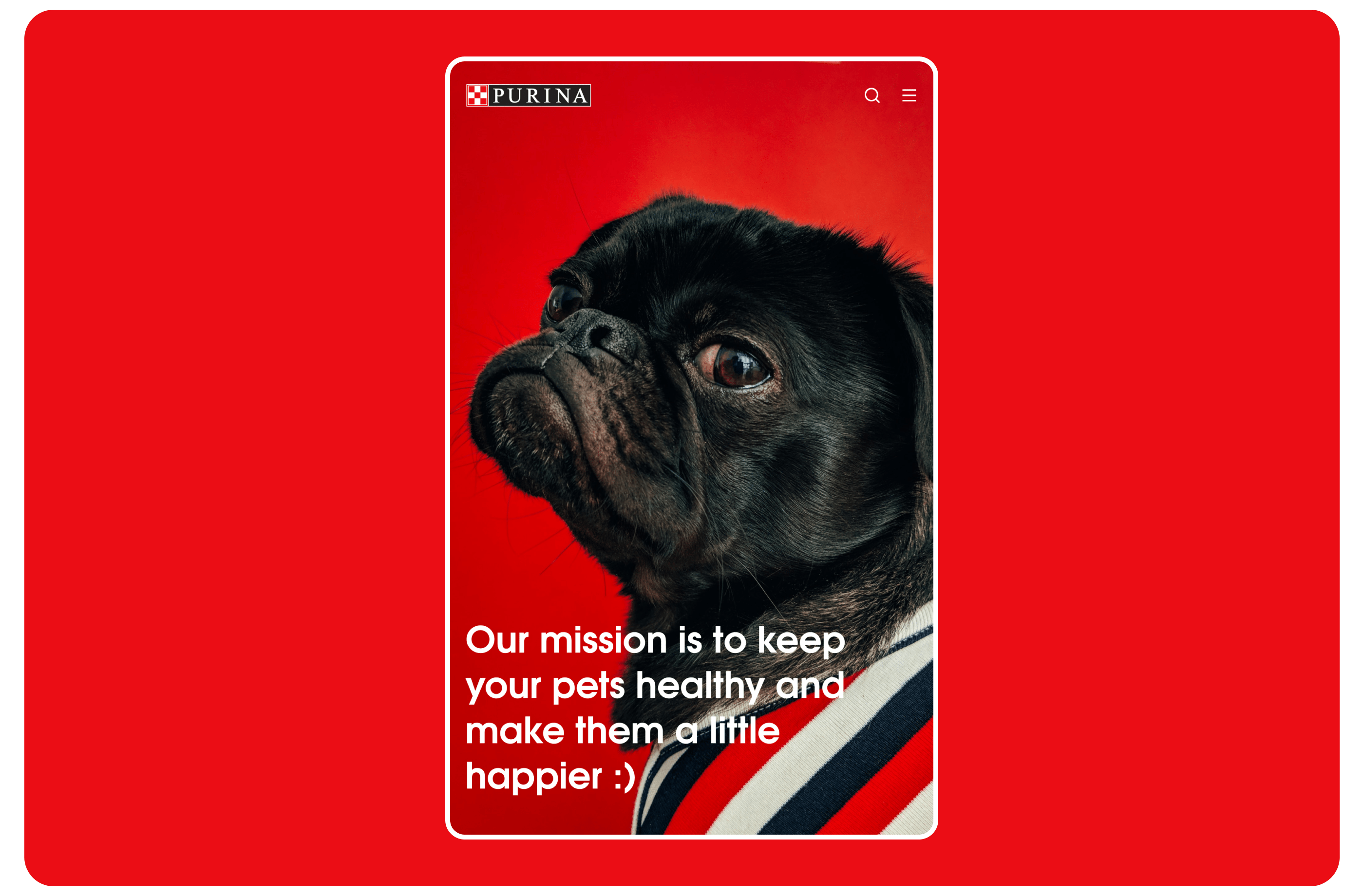 Purina||Redesign concept — Изображение №11 — Интерфейсы, Брендинг, Графика на Dprofile