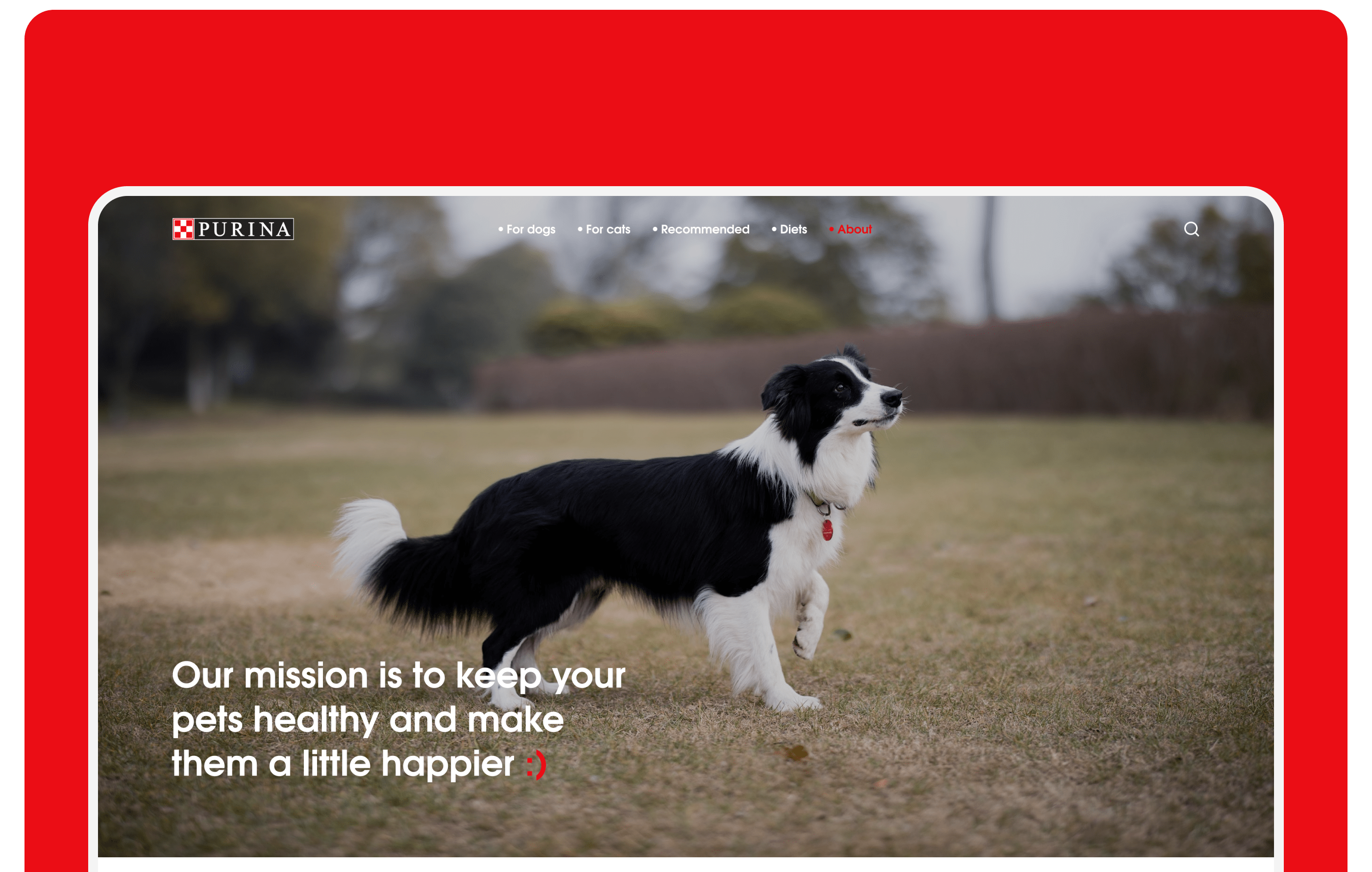 Purina||Redesign concept — Изображение №13 — Интерфейсы, Брендинг, Графика на Dprofile