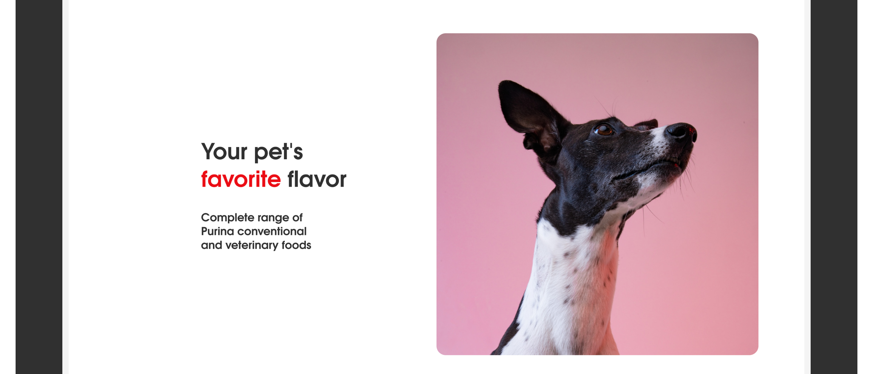 Purina||Redesign concept — Изображение №8 — Интерфейсы, Брендинг, Графика на Dprofile
