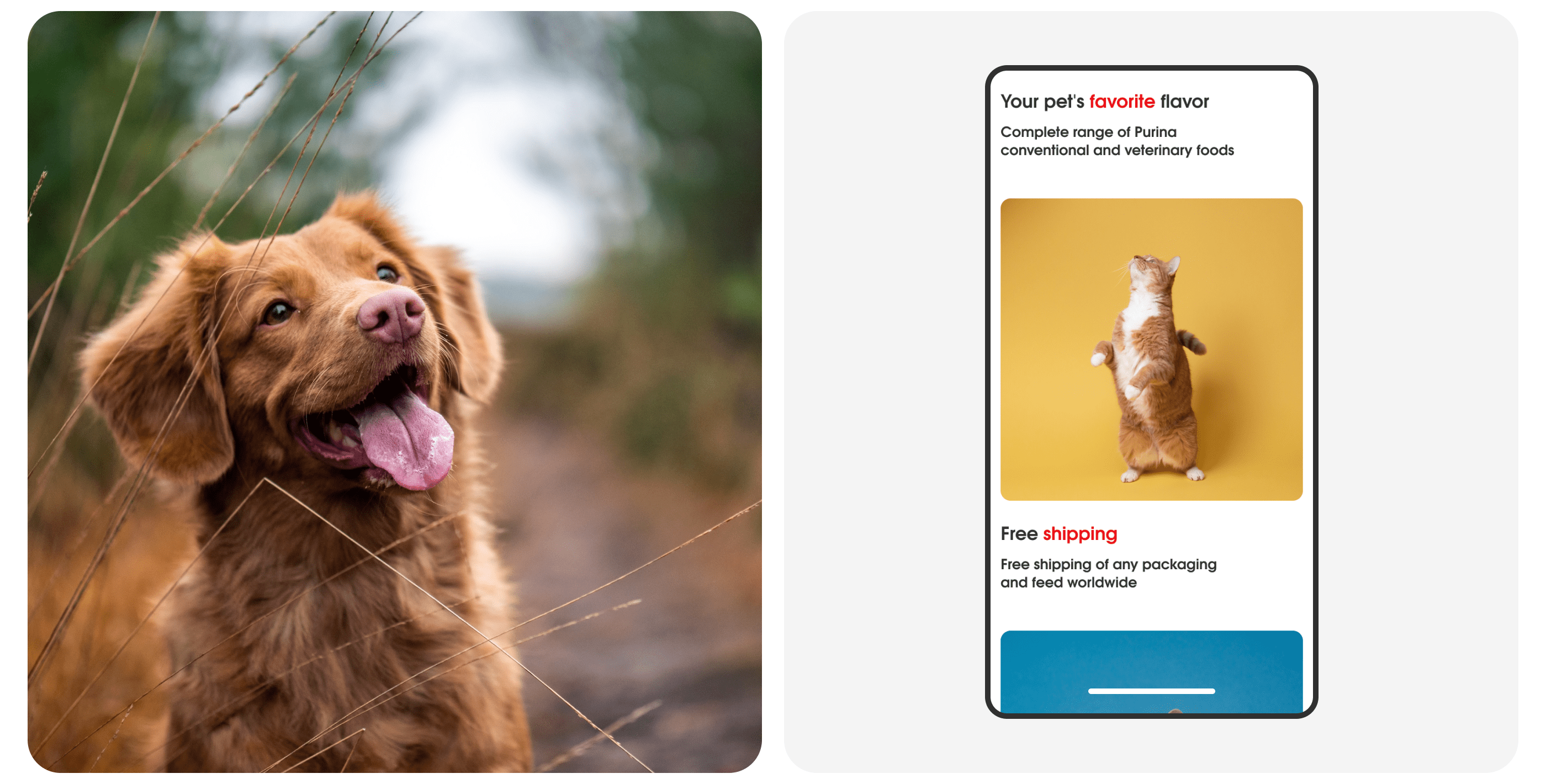 Purina||Redesign concept — Изображение №12 — Интерфейсы, Брендинг, Графика на Dprofile