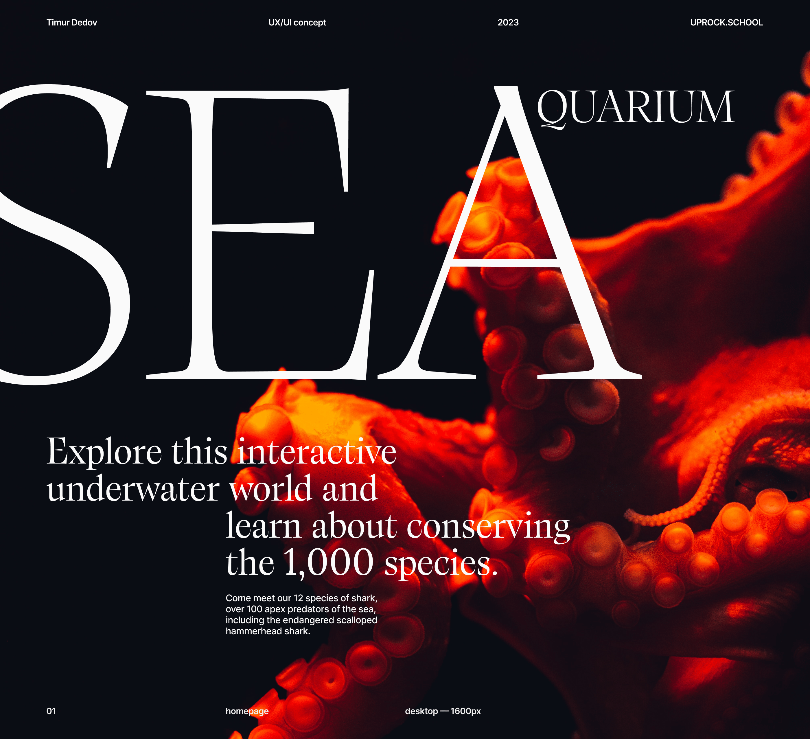 SEA AQUARIUM | Corporate redesign — Изображение №1 — Интерфейсы, Брендинг на Dprofile