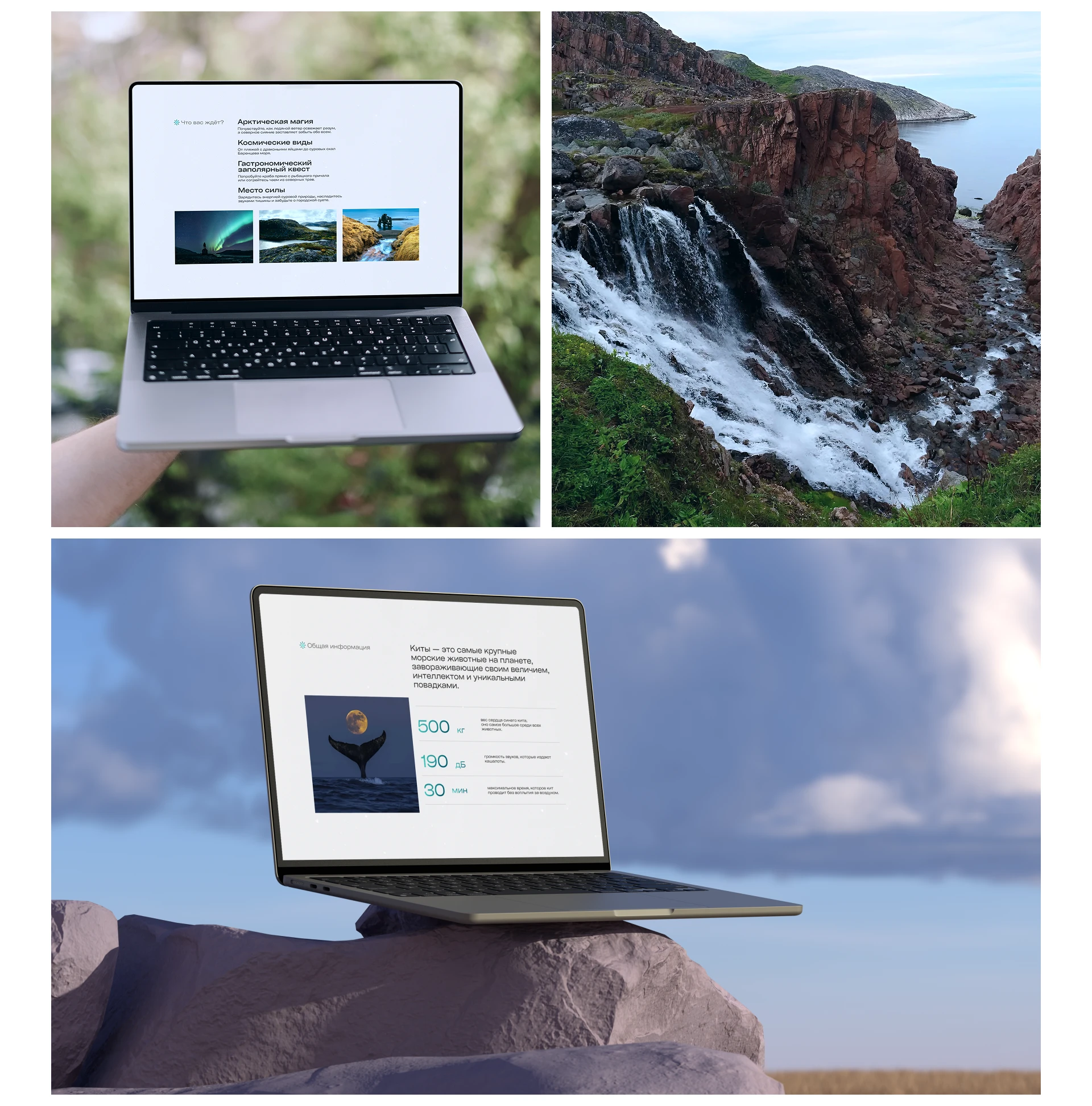 Teriberka: UX/UI at the Edge of the World — Изображение №3 — Интерфейсы на Dprofile