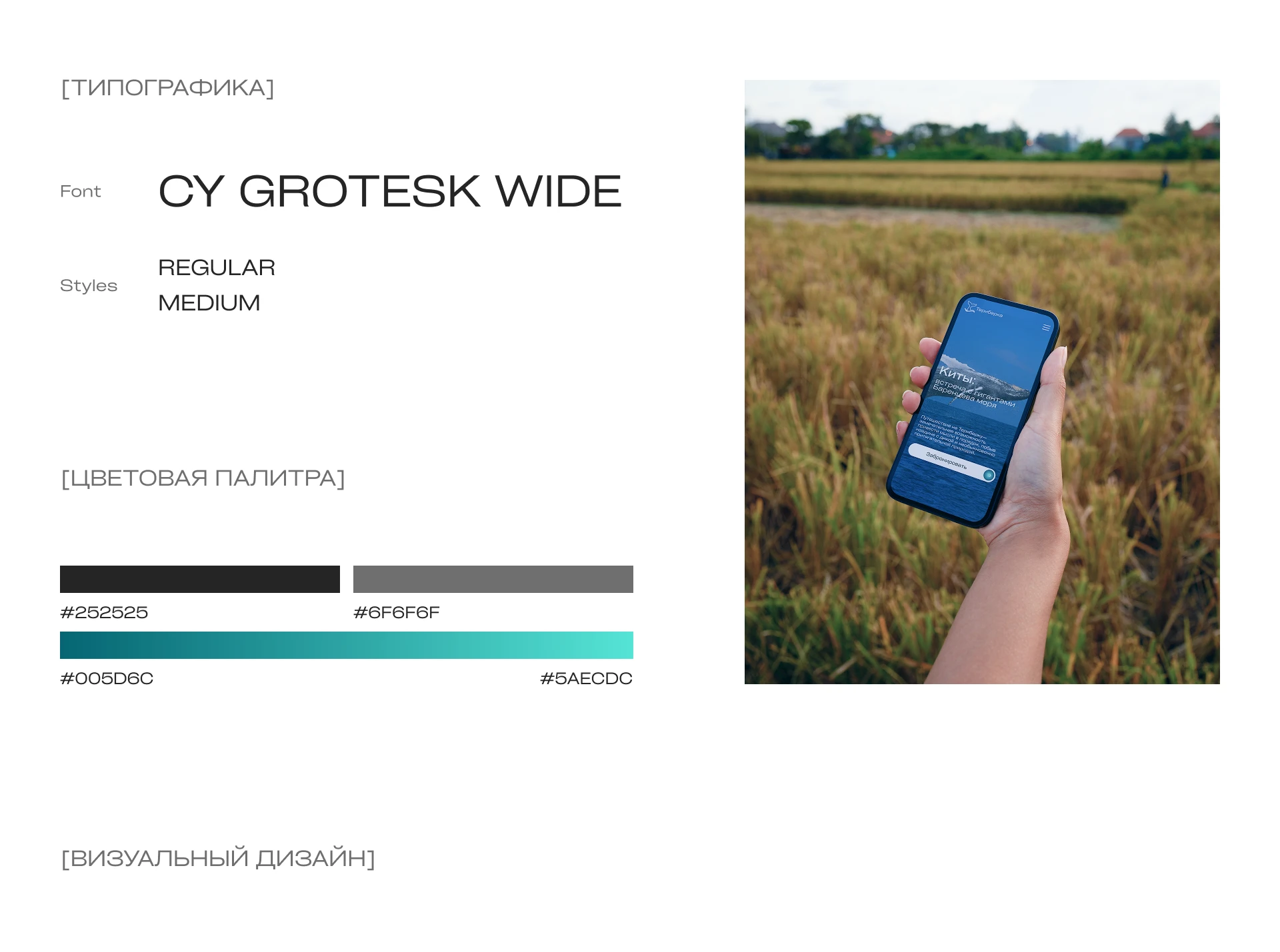 Teriberka: UX/UI at the Edge of the World — Изображение №2 — Интерфейсы на Dprofile