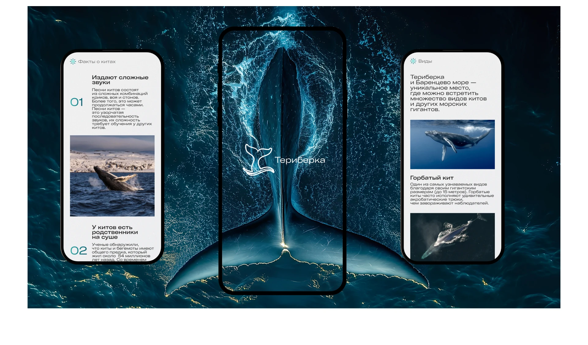 Teriberka: UX/UI at the Edge of the World — Изображение №4 — Интерфейсы на Dprofile