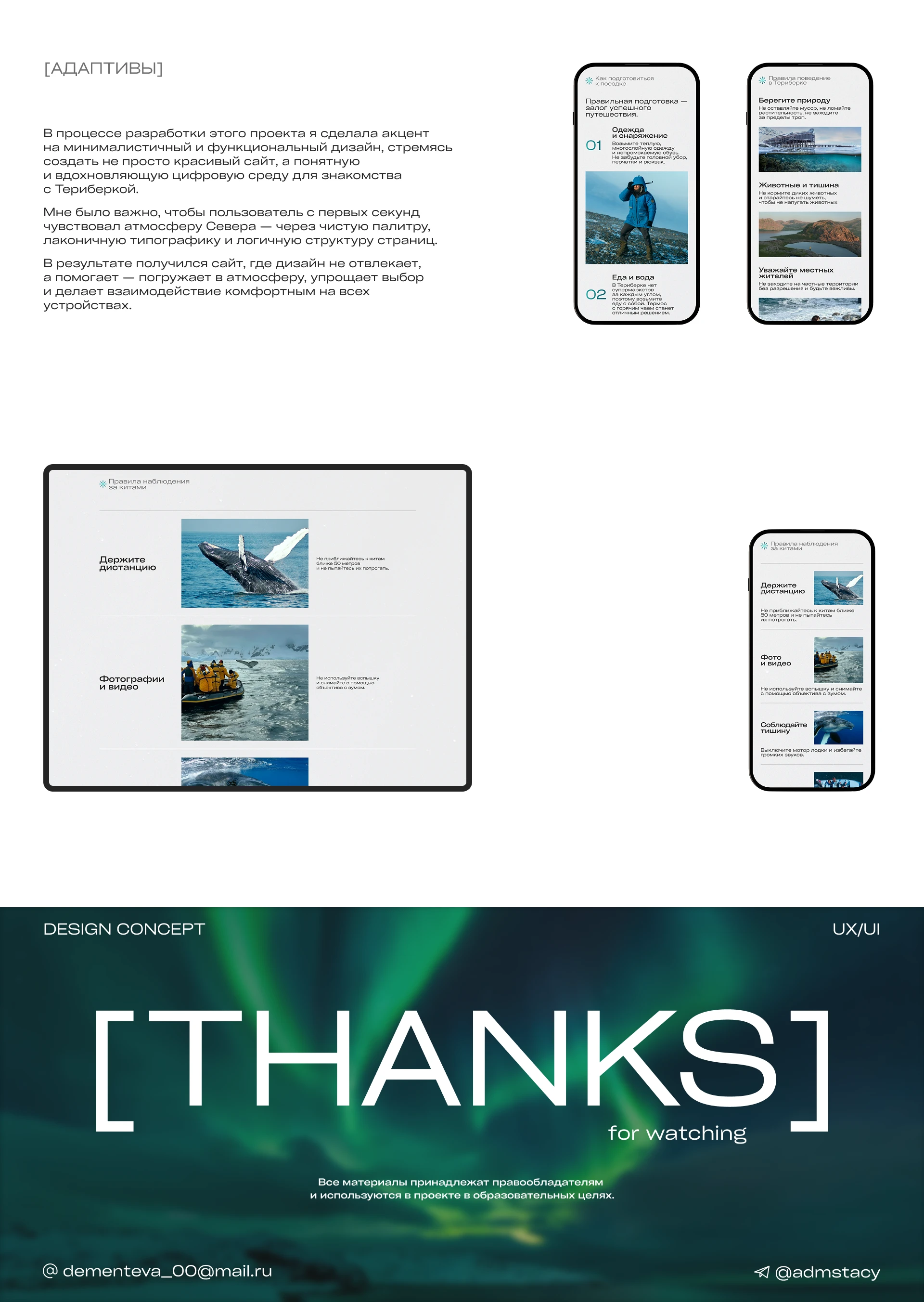 Teriberka: UX/UI at the Edge of the World — Изображение №5 — Интерфейсы на Dprofile