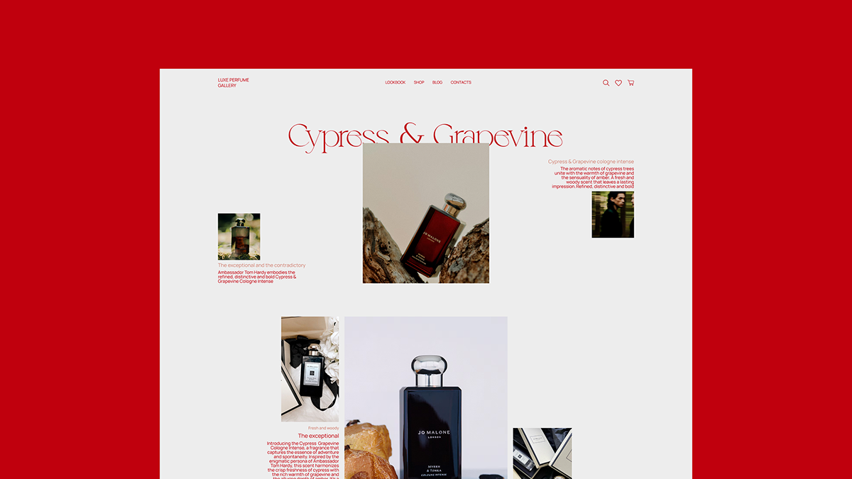Luxe Perfume Gallery: UX/UI дизайн онлайн-магазина — Изображение №17 — Интерфейсы, Брендинг на Dprofile