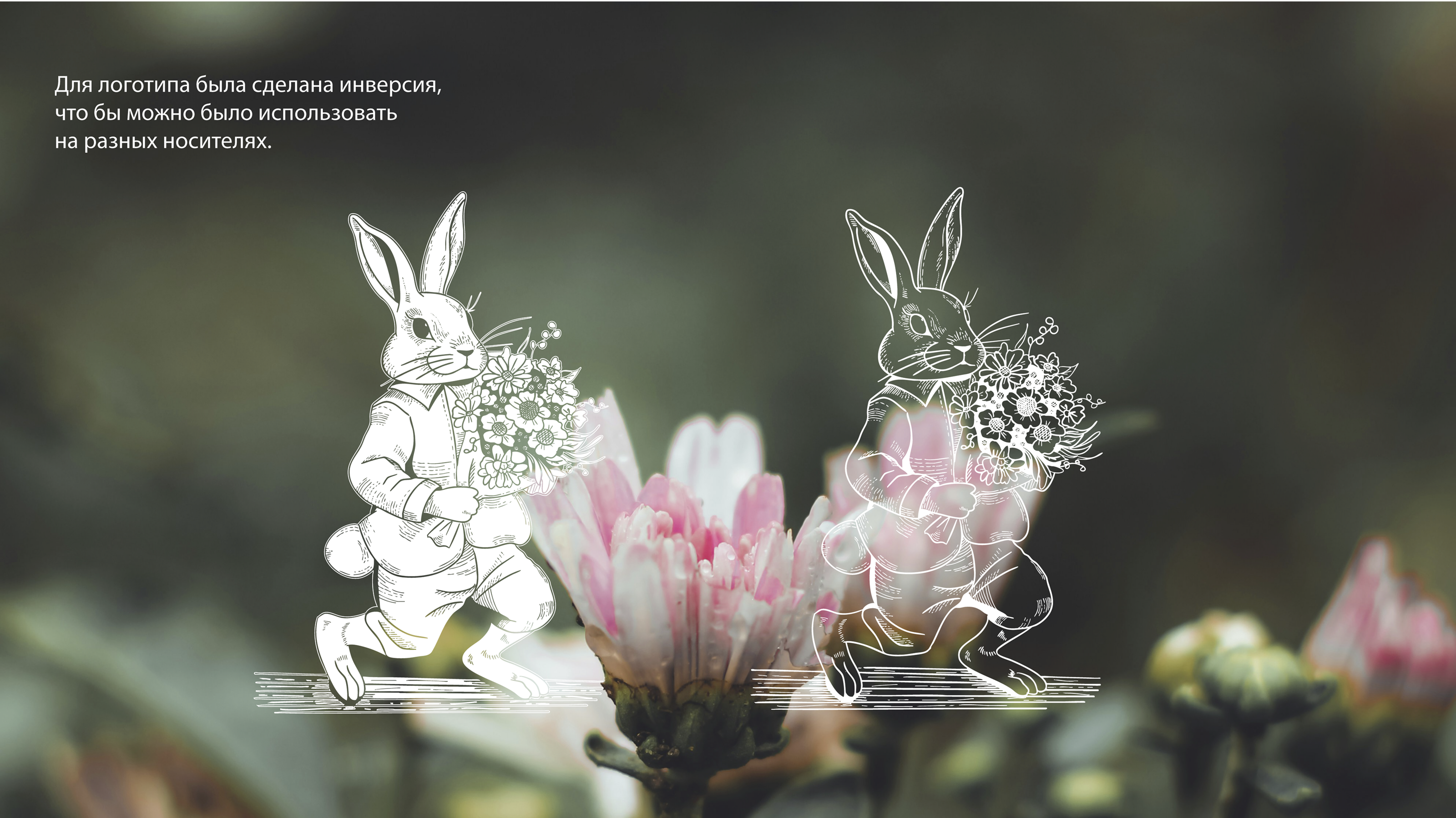 Логотип для студии цветов/Logo for the flower studio — Изображение №4 — Брендинг, Графика на Dprofile