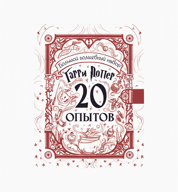 Дизайн коробки в стиле Гарри Поттера — Изображение №4 — Брендинг, Иллюстрация на Dprofile