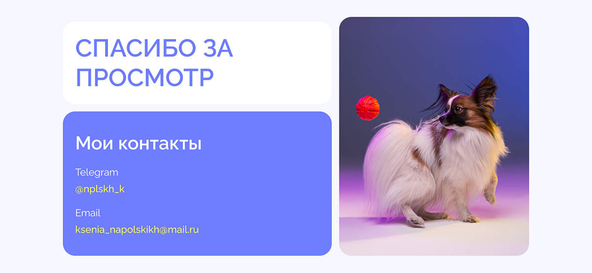 Pecurity | User Interface for insrance company — Изображение №13 — Интерфейсы, Брендинг на Dprofile