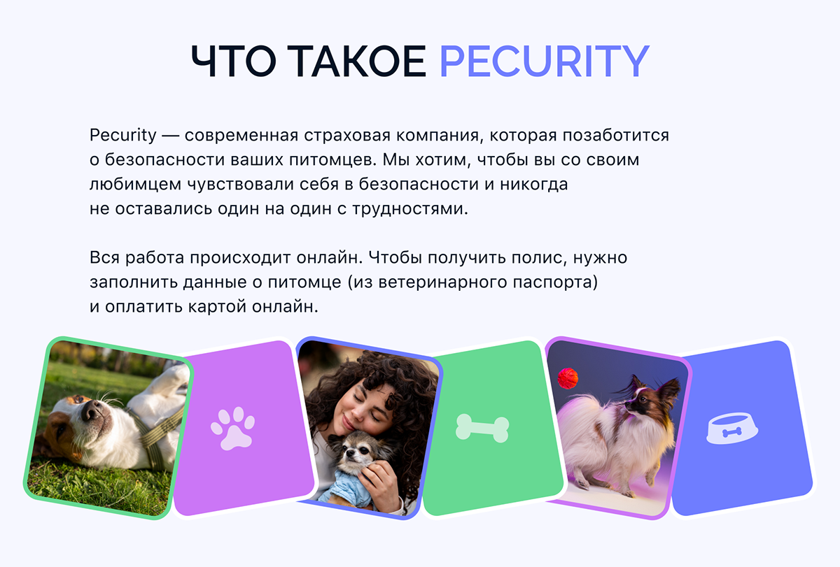 Pecurity | User Interface for insrance company — Изображение №1 — Интерфейсы, Брендинг на Dprofile